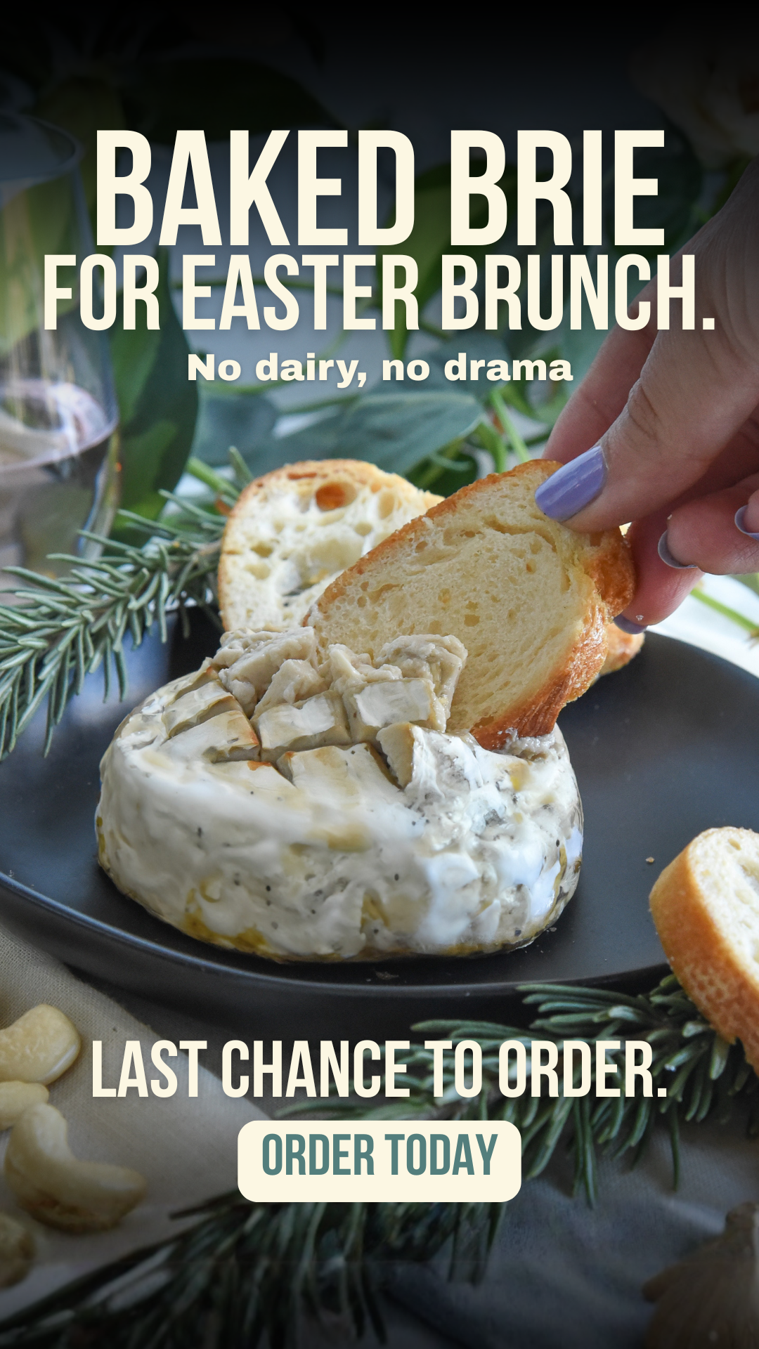 Rebel Cheese Facebook ad