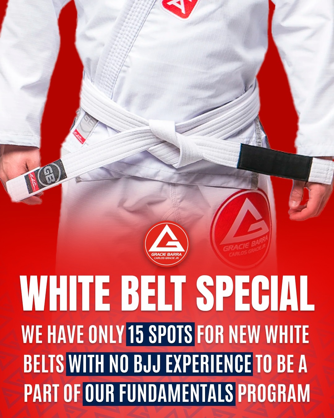 Gracie Barra Libertyville Brazilian Jiu Jitsu Classes Facebook ad