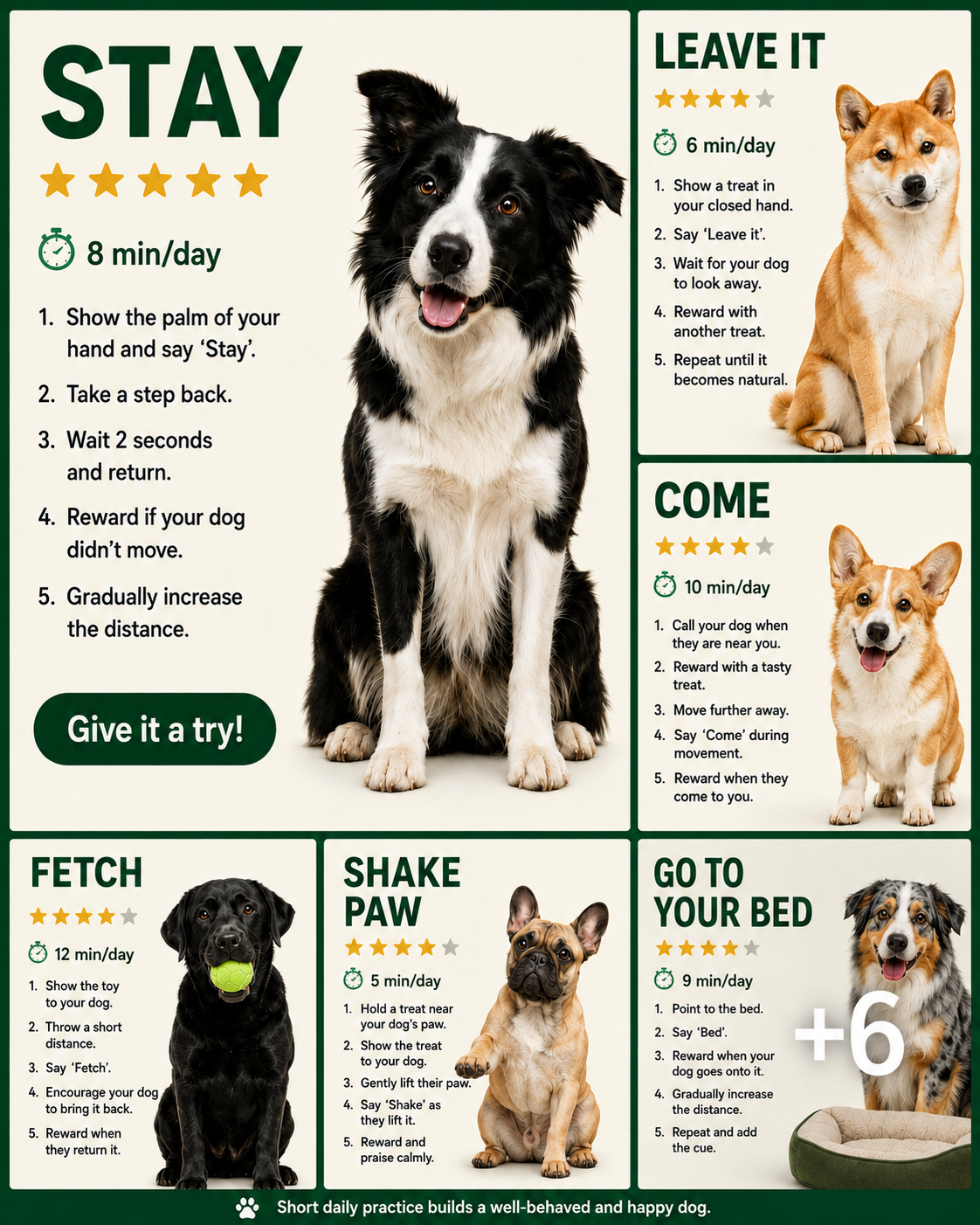 Dog Care Facebook ad