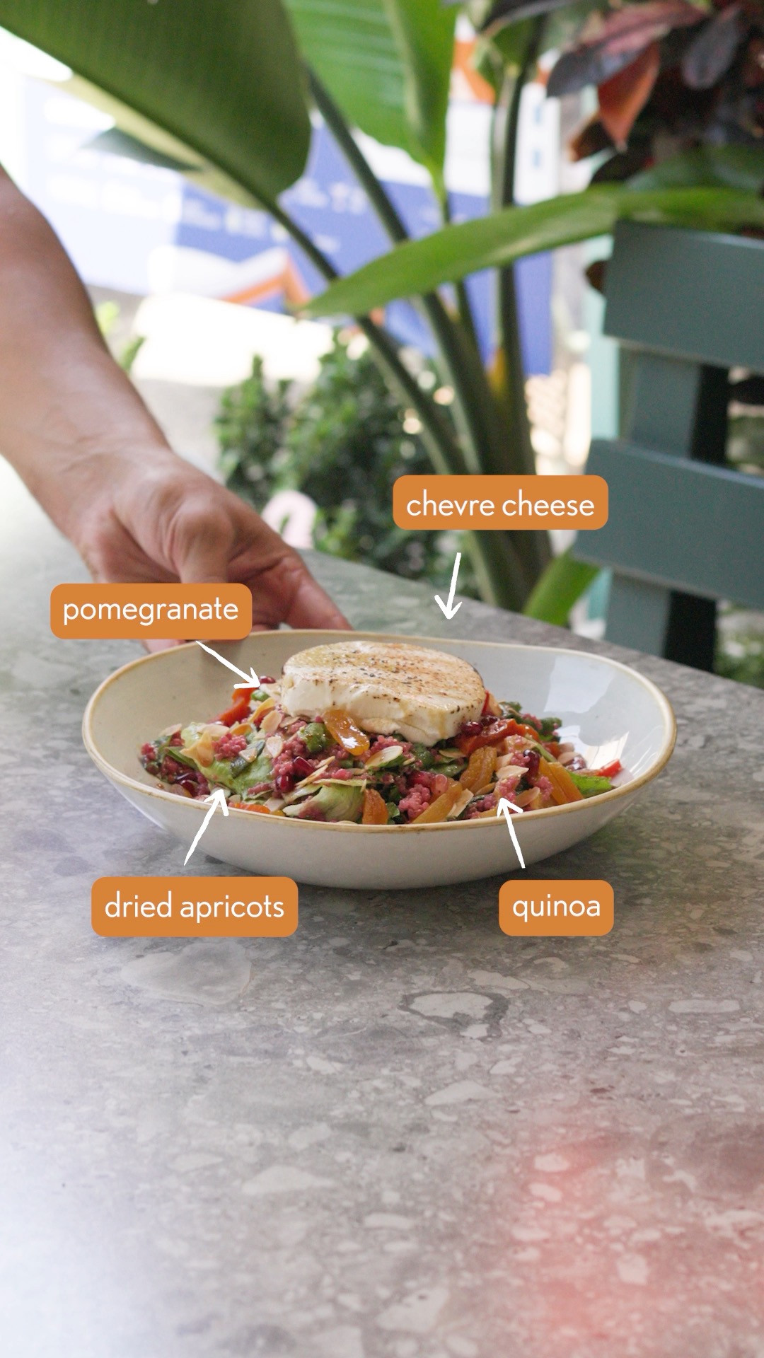 Ousia Facebook ad: Light, fresh, and satisfying, our Quinoa Salad combines…