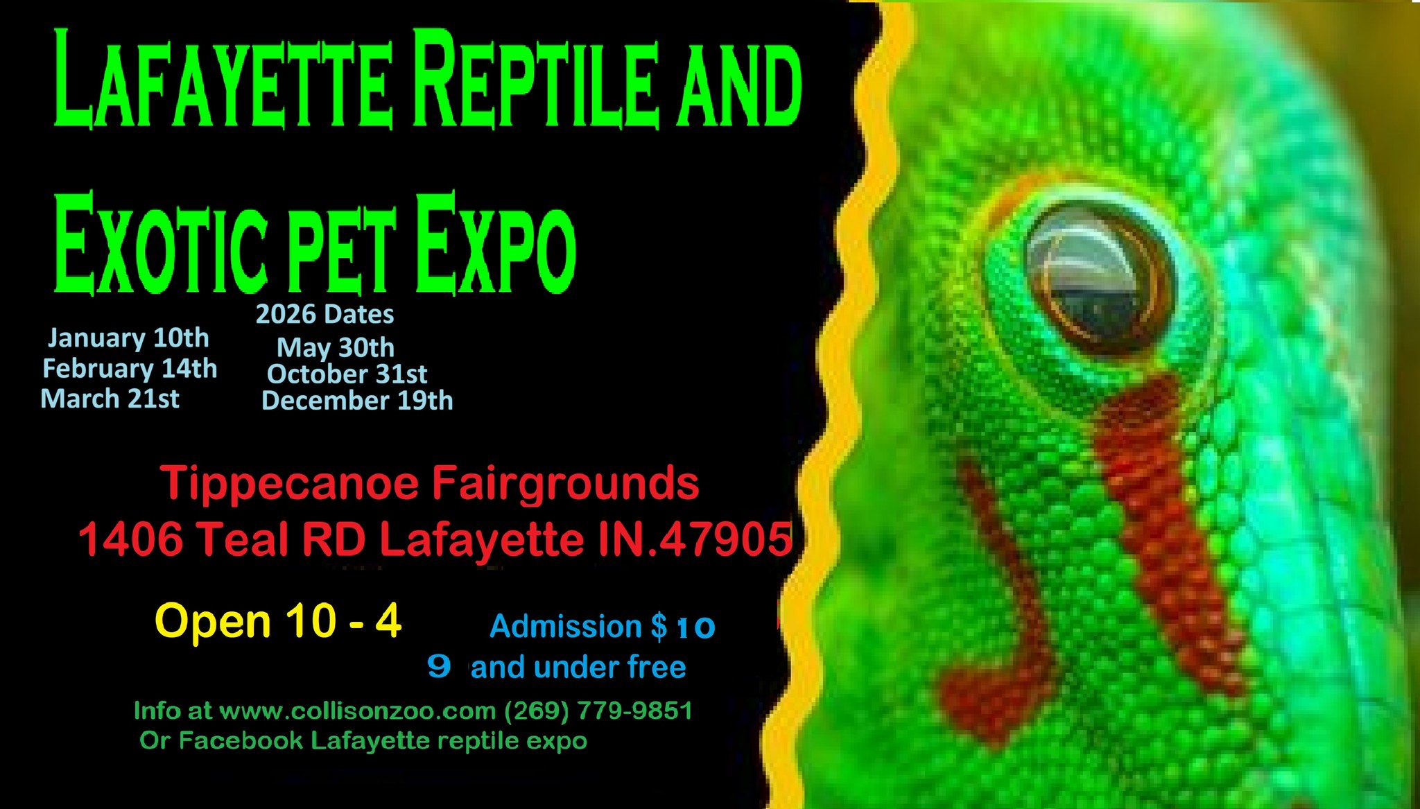 Lafayette Reptile expo Facebook ad: Lafayette Exotic Pet Expo