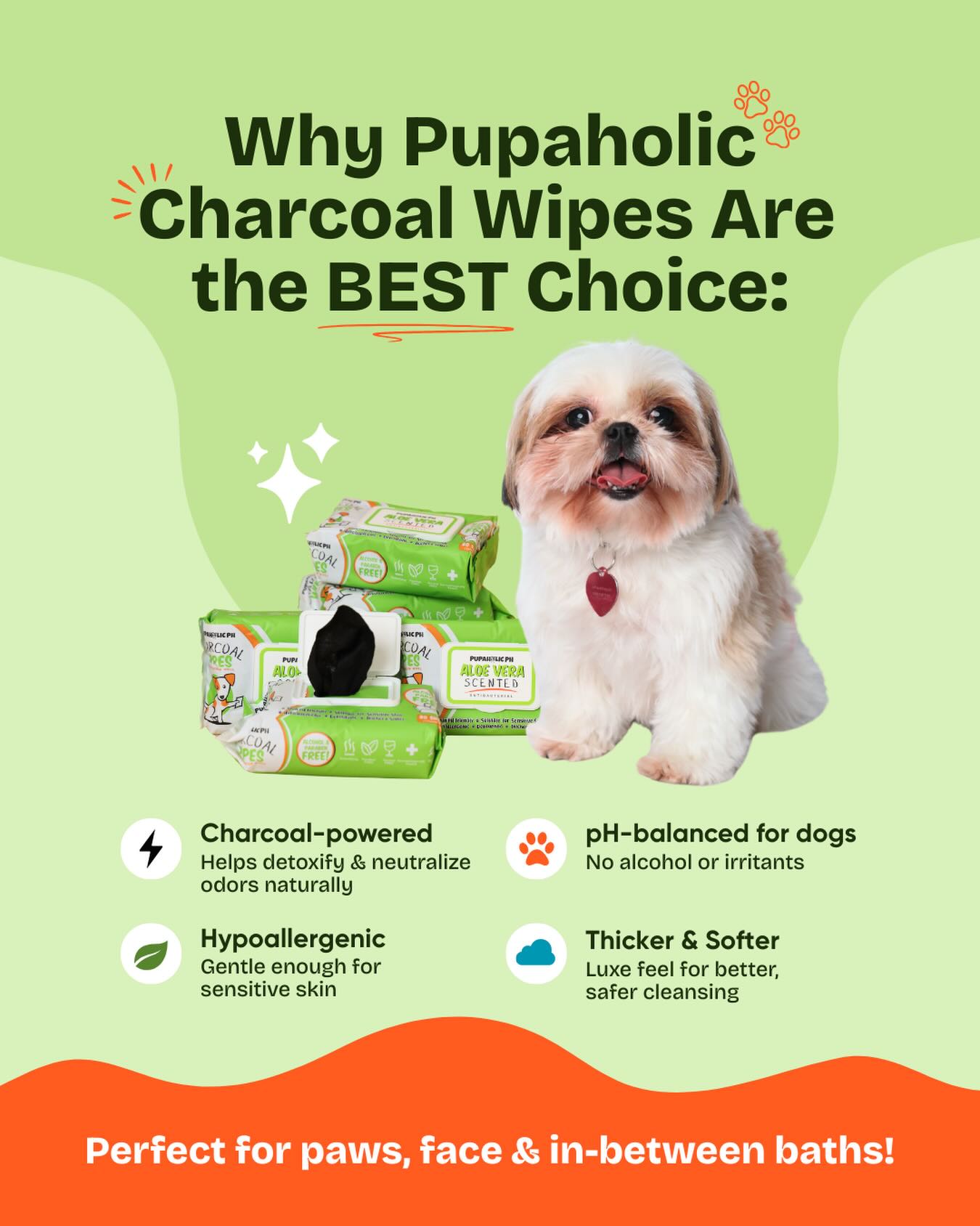 Pupaholic PH Facebook ad: Pupaholic PH - Charcoal Dog Training Pads and Charcoal Wipes