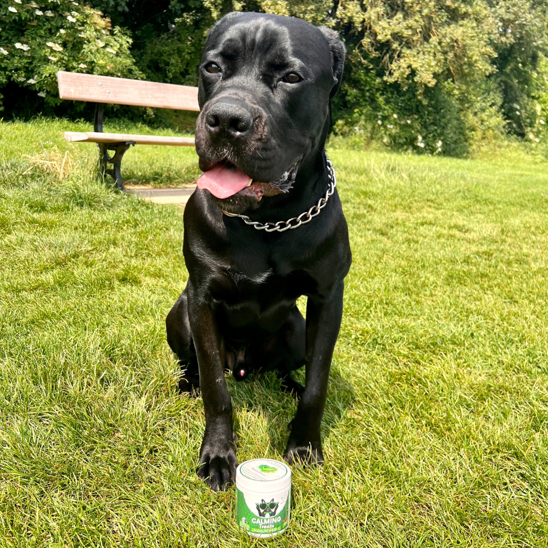 Nutri Paw Facebook ad