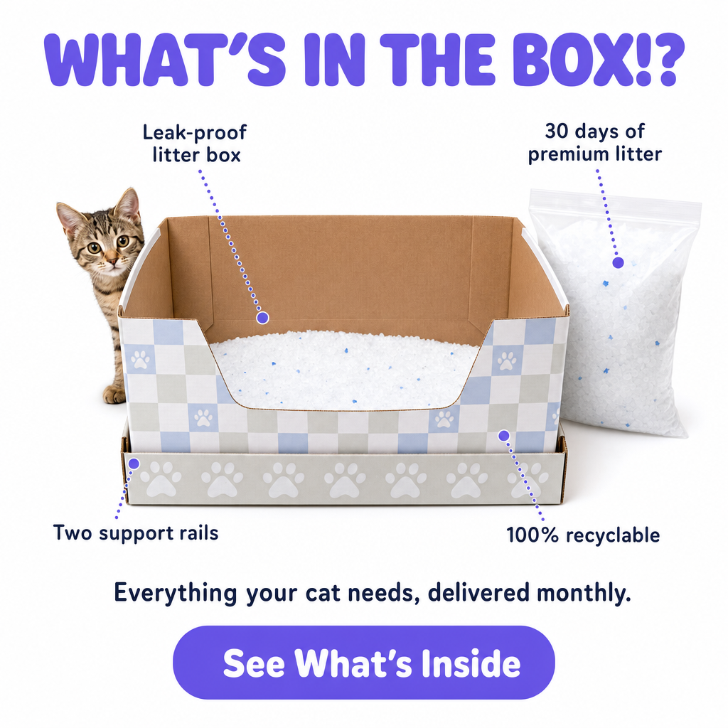 Kitty Poo Club Facebook ad