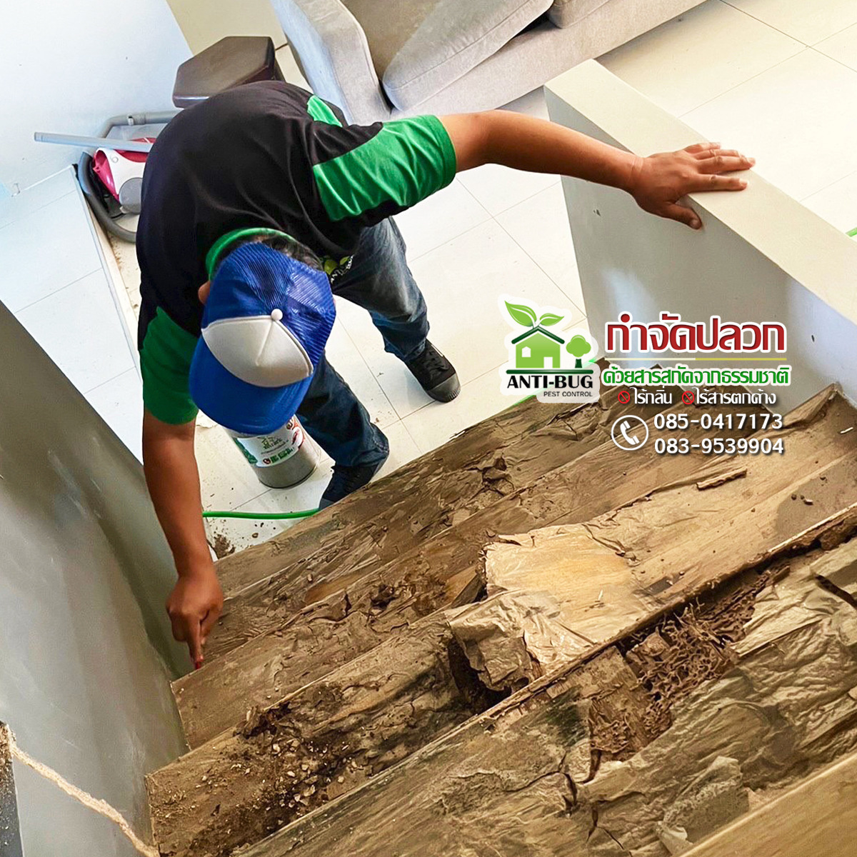 กำจัดปลวกเชียงราย By Anti-Bug Pest Control Facebook ad