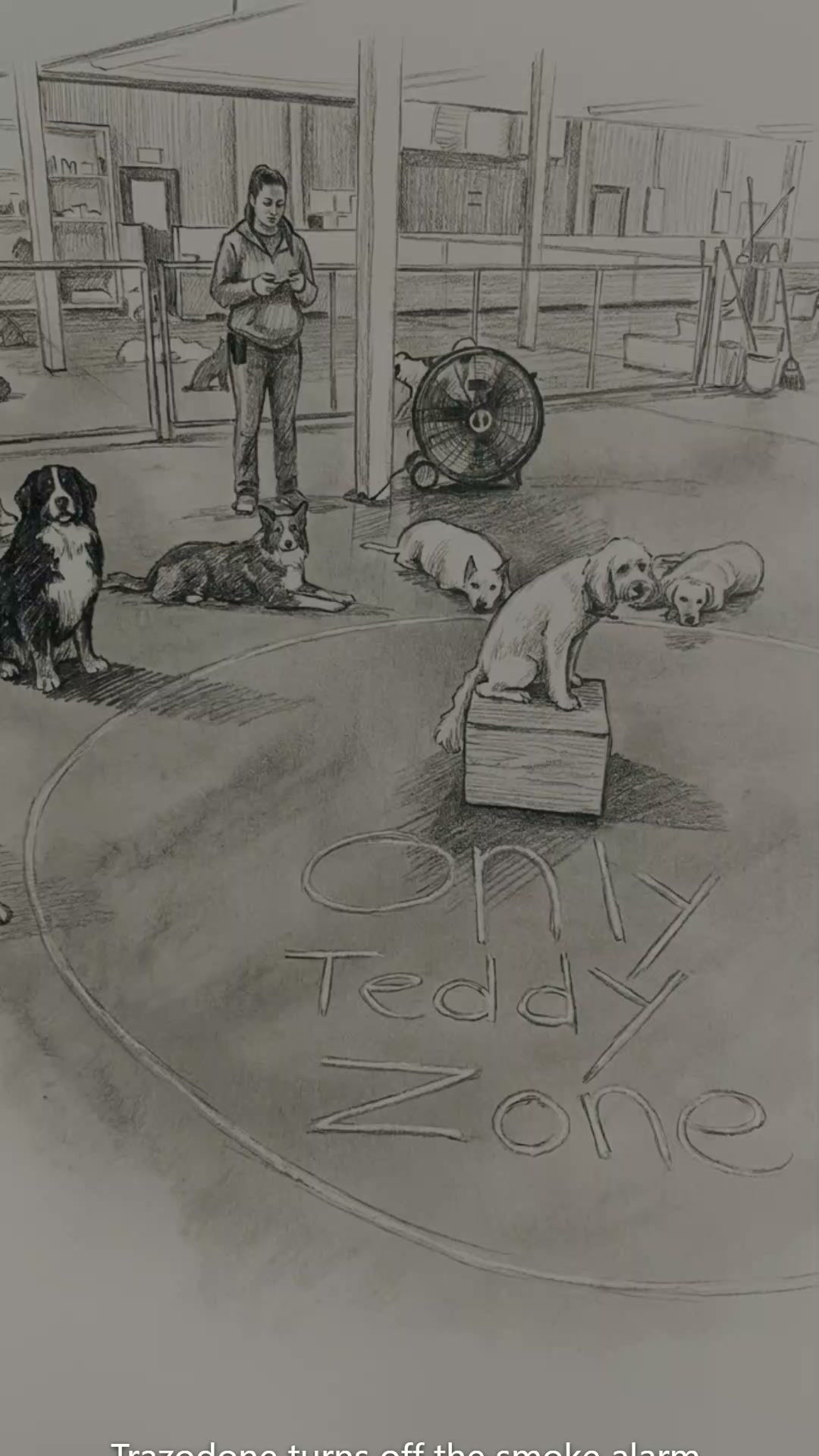 Lakeview Animal Hospital Facebook ad: Trazodone turns off the smoke alarm. Prozac stretches the…