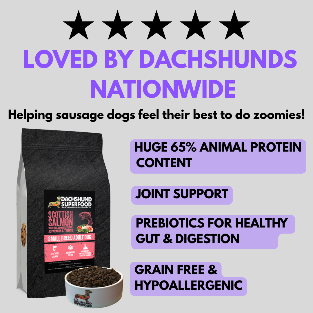 Dachshund Superfood Facebook ad