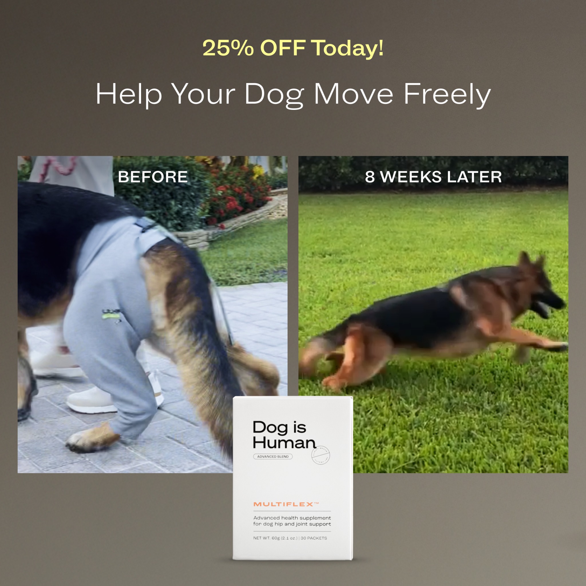 Dog is Human Facebook ad