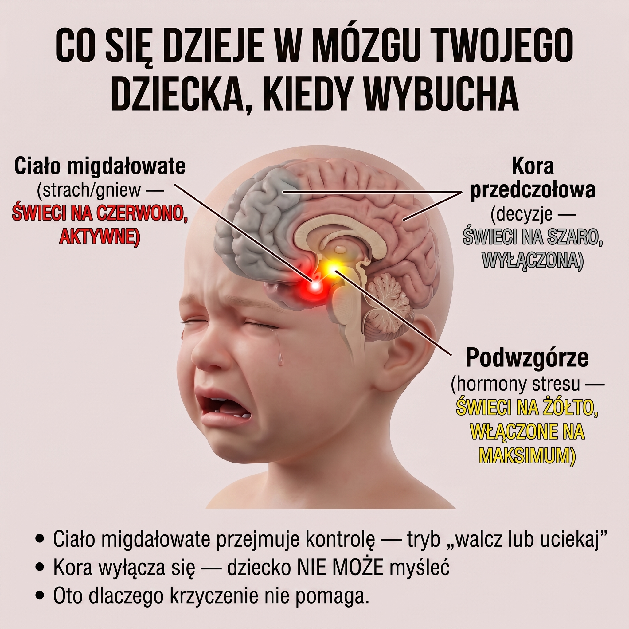 Sukcesy rodziców Facebook ad: Zatrzymaj wybuchy złości swojego dziecka na zawsze