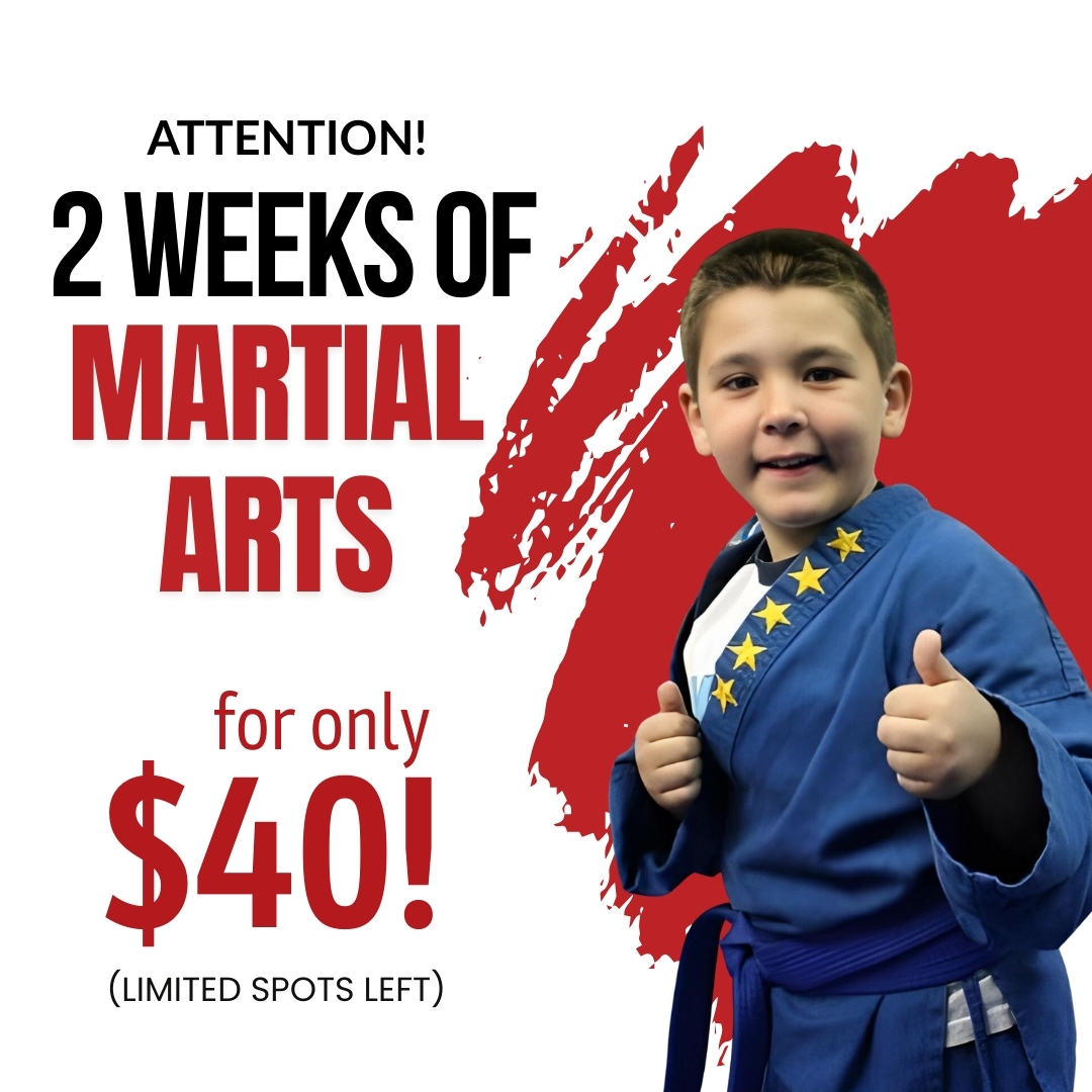 North Hills ATA Martial Arts Facebook ad