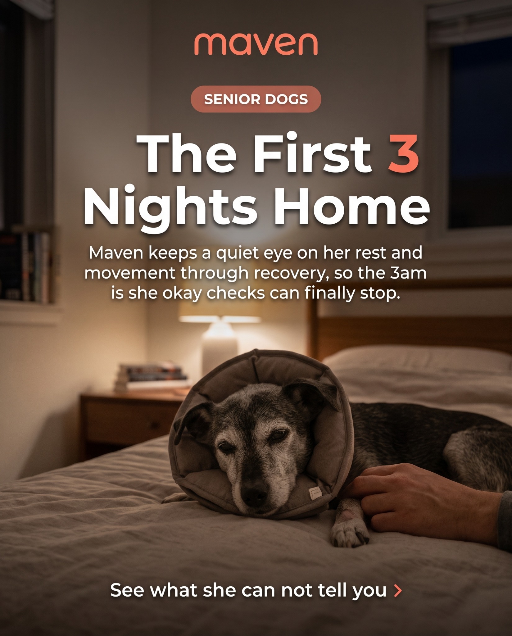 Maven Pet Facebook ad