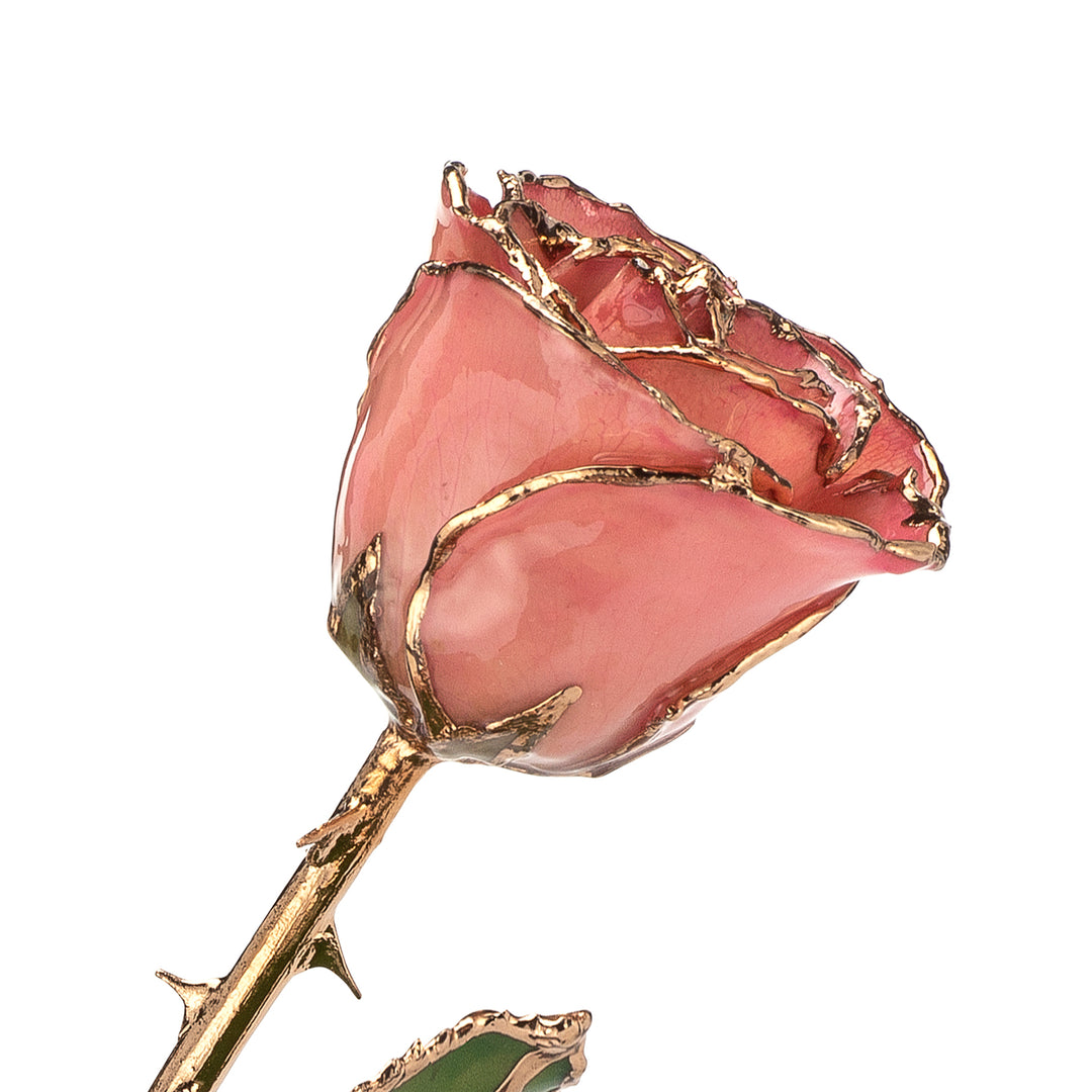 The Forever Rose Facebook ad