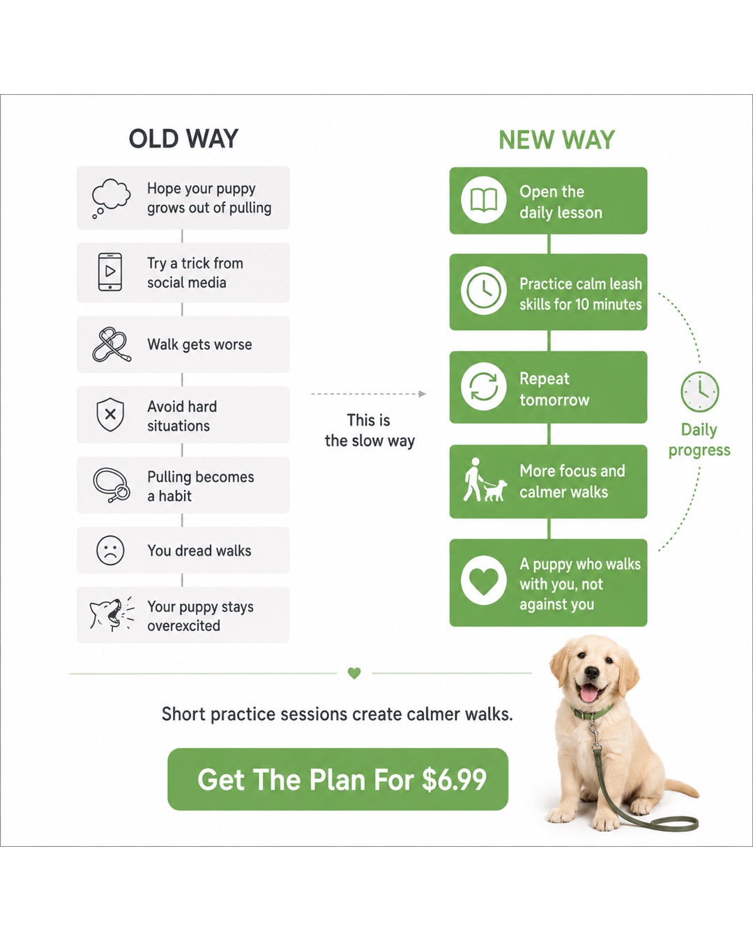 Ben Your Puppy Trainer Facebook ad