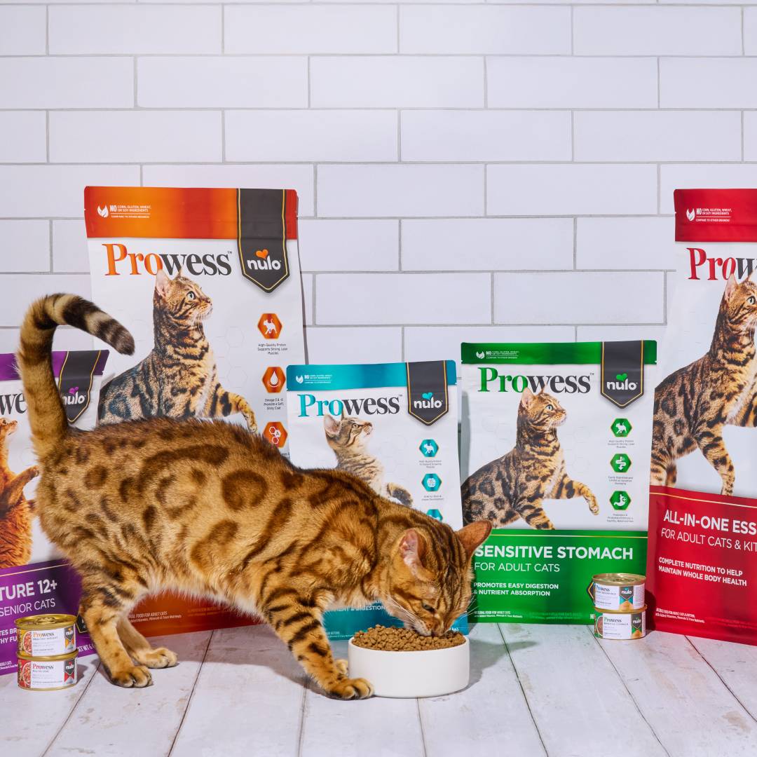 Petco Facebook ad: Trade Up Your Cat's Nutrition
