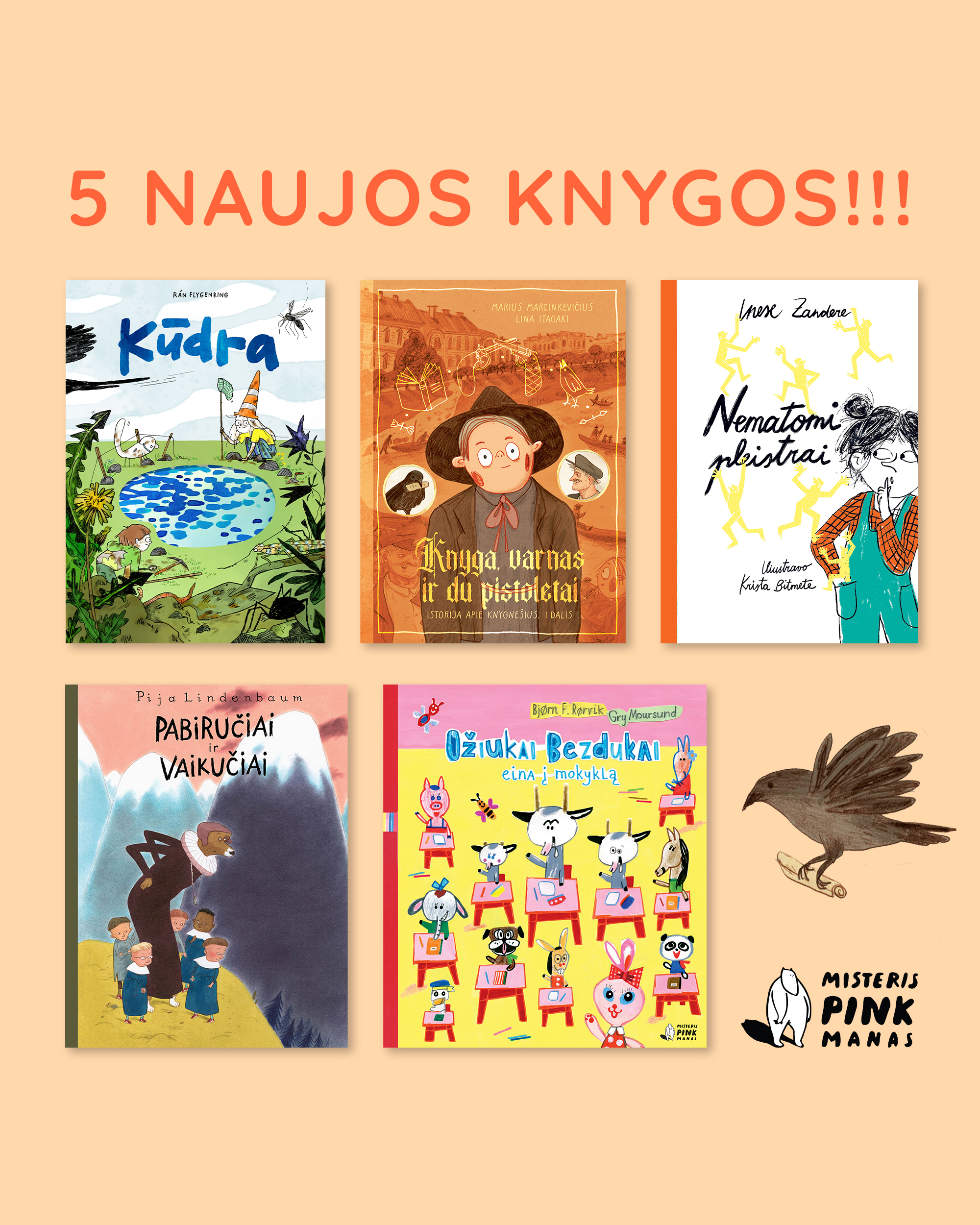 Misteris Pinkmanas Facebook ad: 5 naujos knygos vaikams!