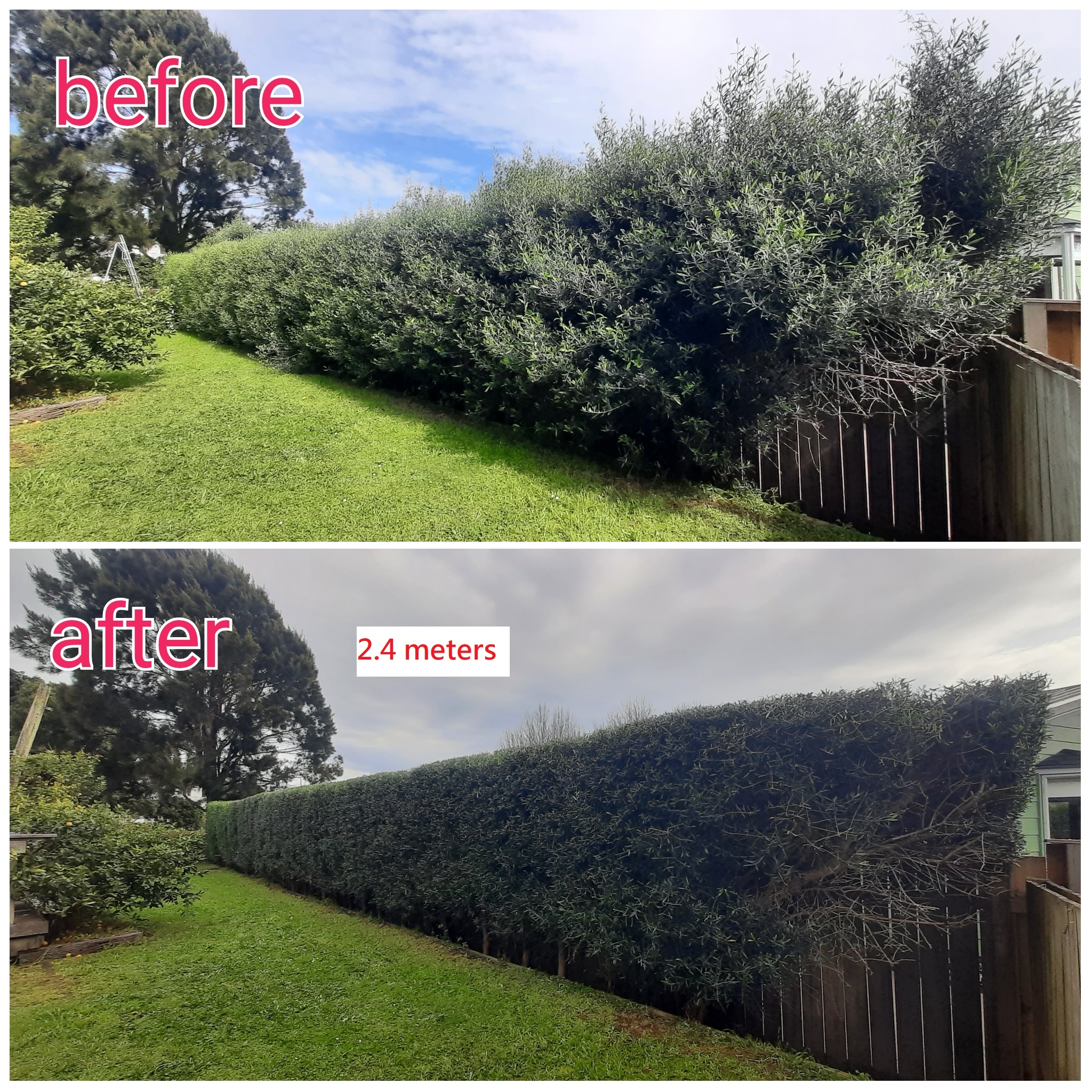 Tree Work Studio Facebook ad: Tree Work Studio Limited provides the following services…