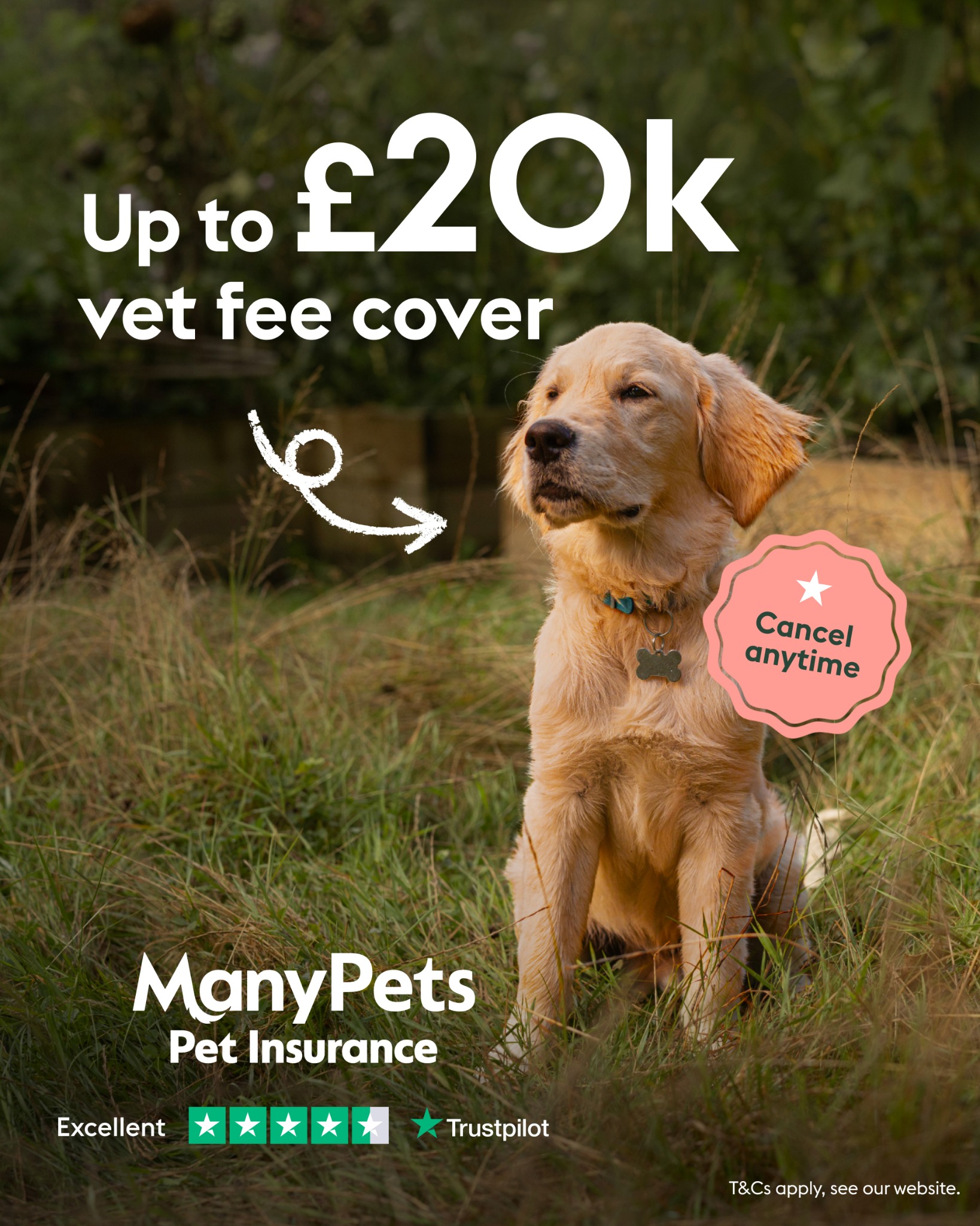 ManyPets UK Facebook ad