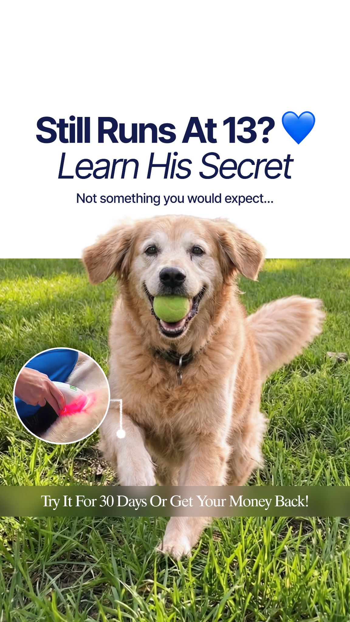 Helio Pet Facebook ad