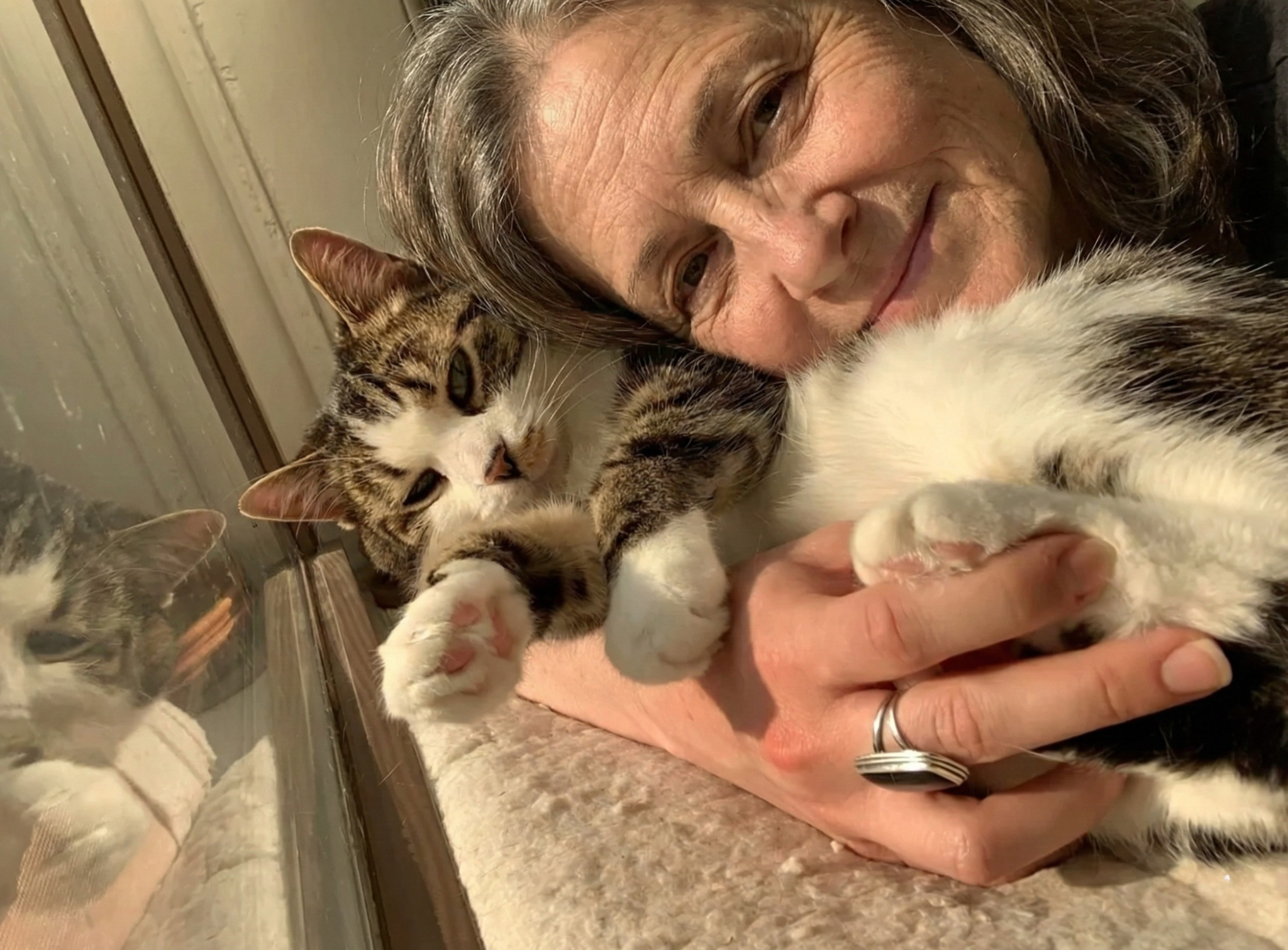 Cat Parent Secrets Facebook ad
