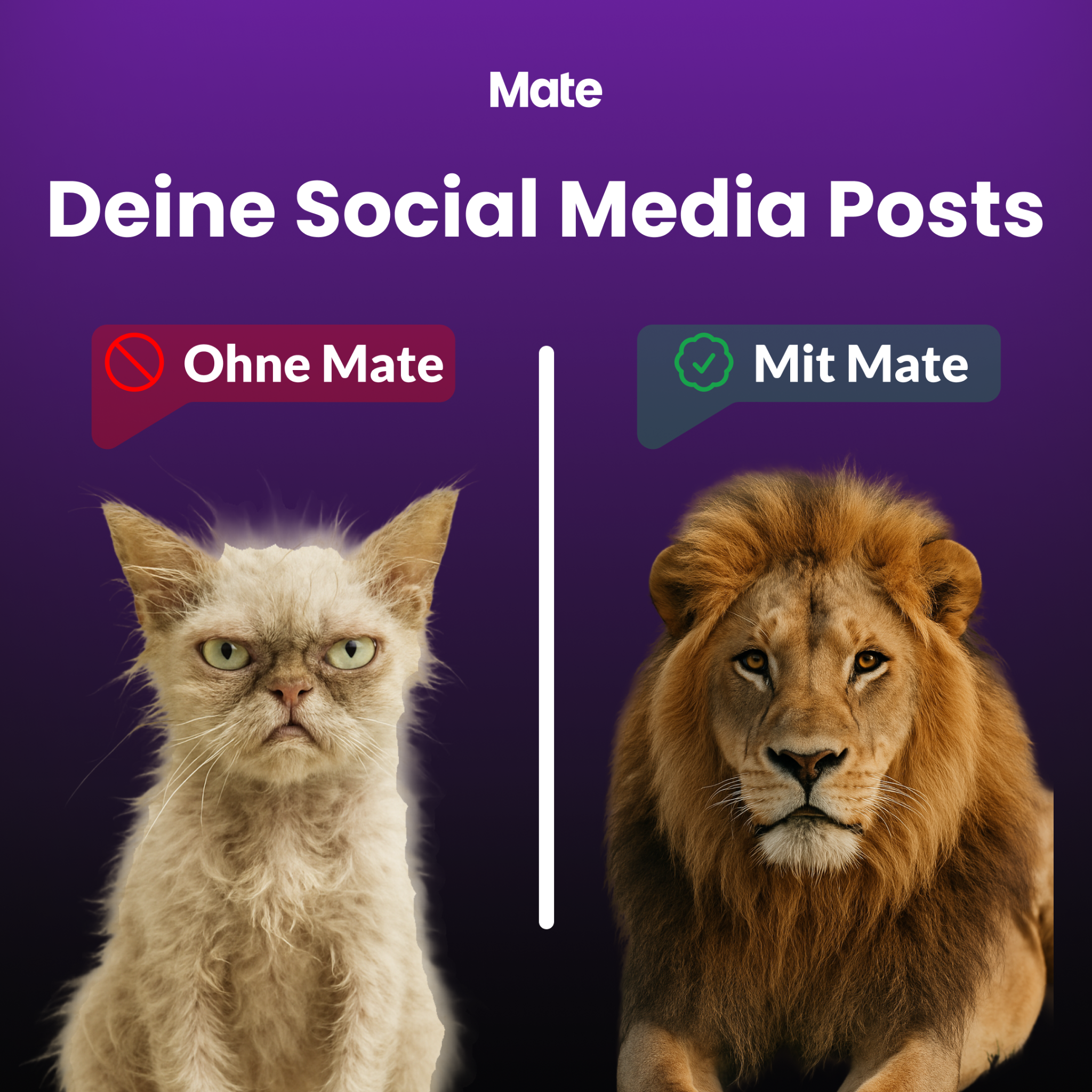 Mate Studio Facebook ad: Mate ist die Alternative zu typischen Designtools.