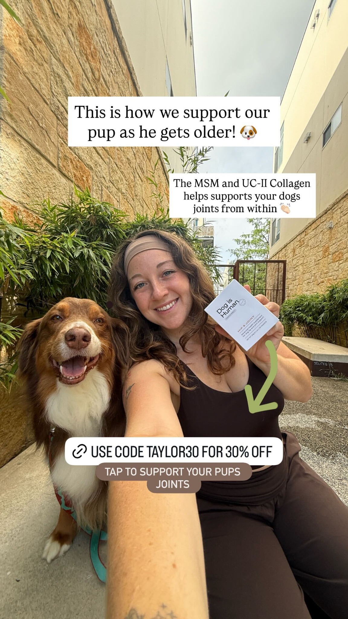 Dog is Human Facebook ad