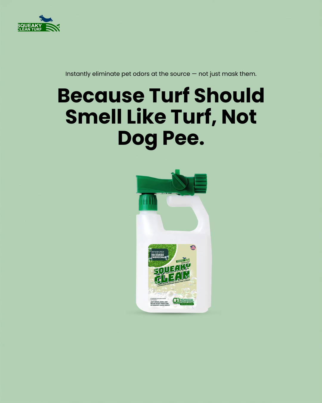 Squeaky Clean Turf Cleaner Facebook ad from Aug 18, 2026