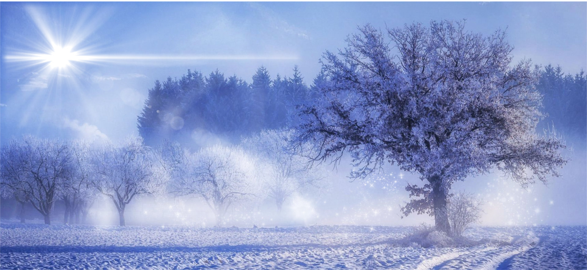 Eckankar in Colorado Facebook ad: Home - Eckankar In