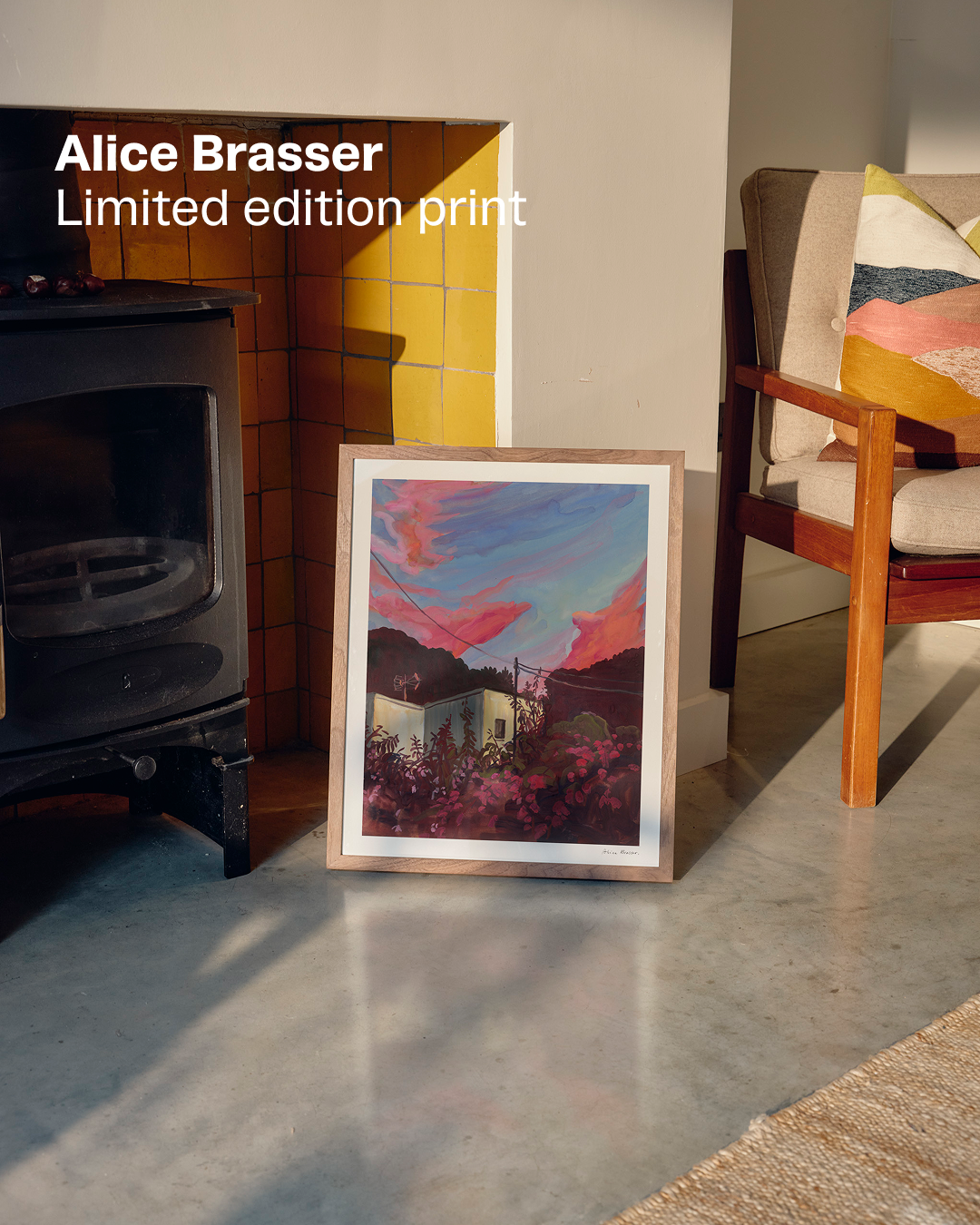 alicebrasser Facebook ad