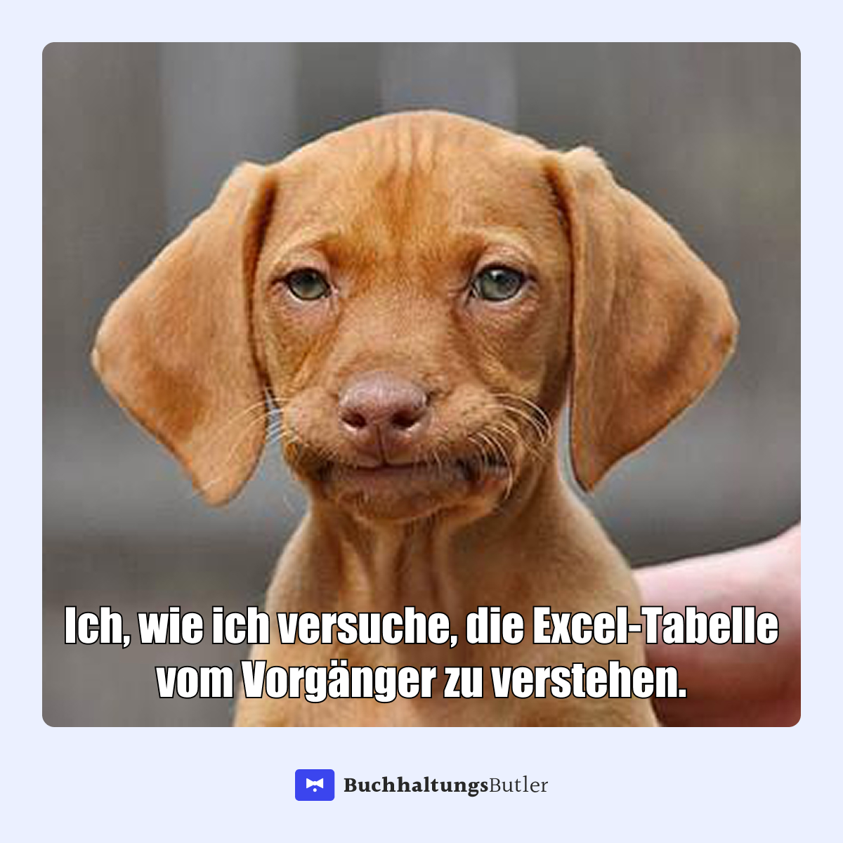 BuchhaltungsButler Facebook ad: Jetzt 14 Tage kostenlos testen