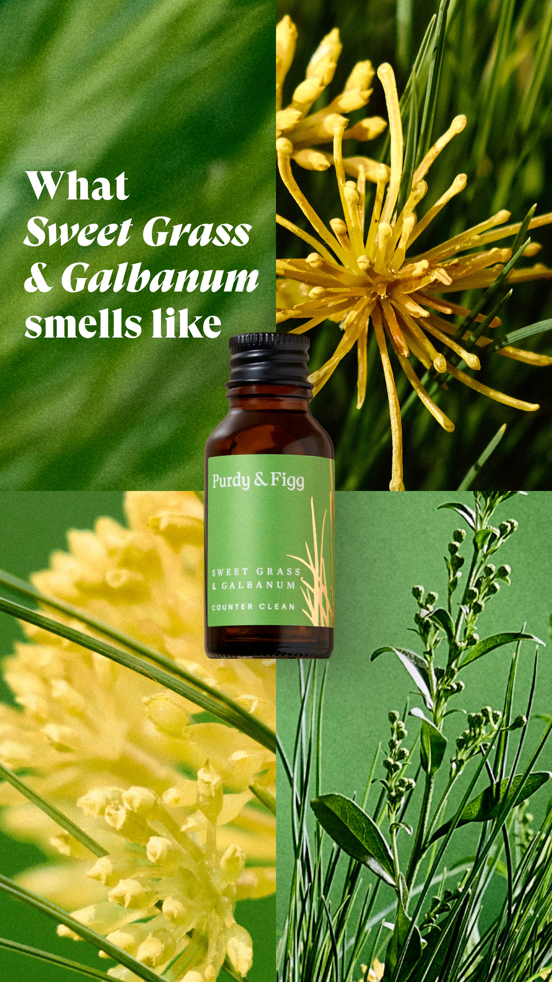 Purdy & Figg Facebook ad
