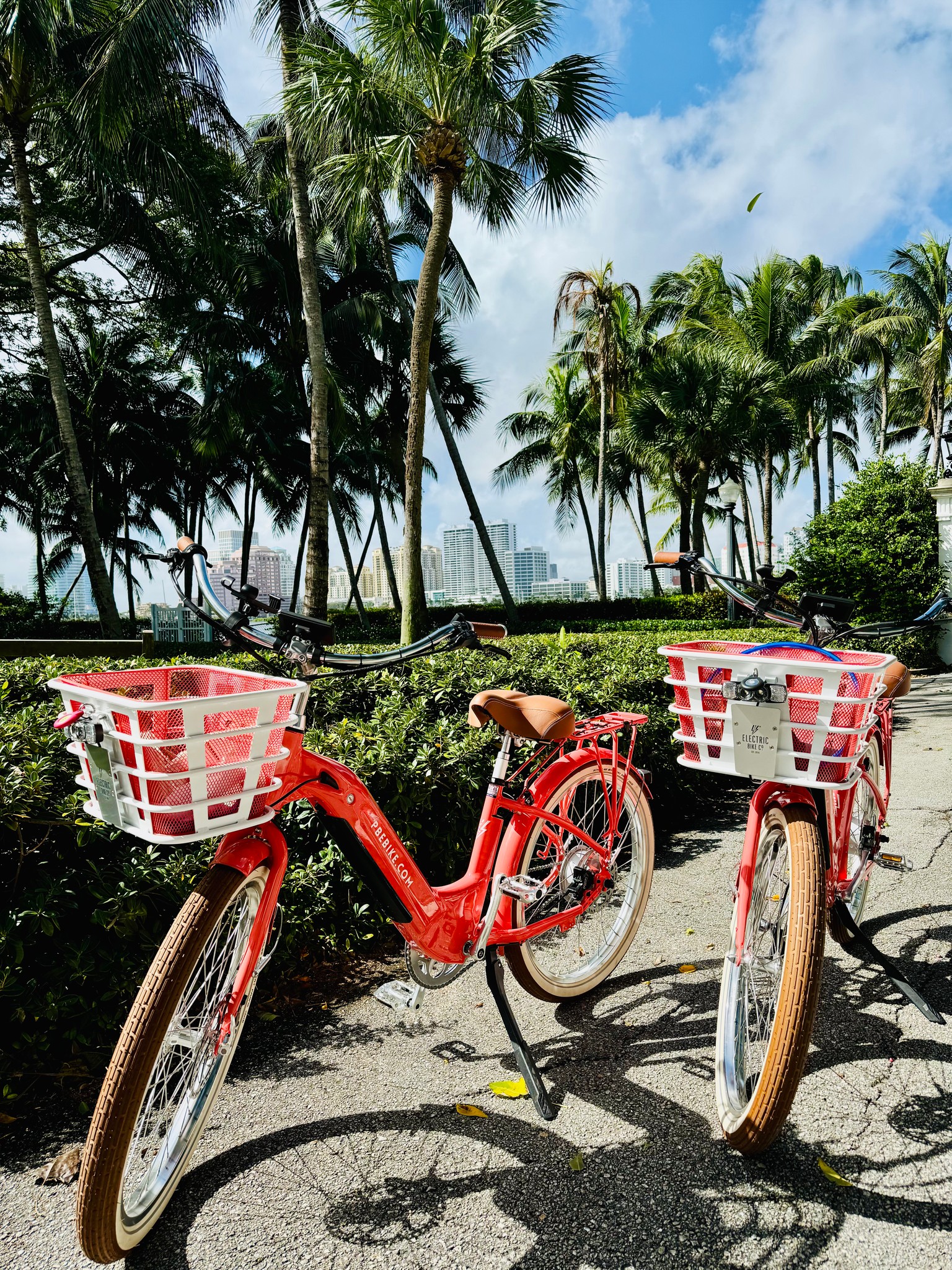 Palm Beach Ebike Rentals Facebook ad