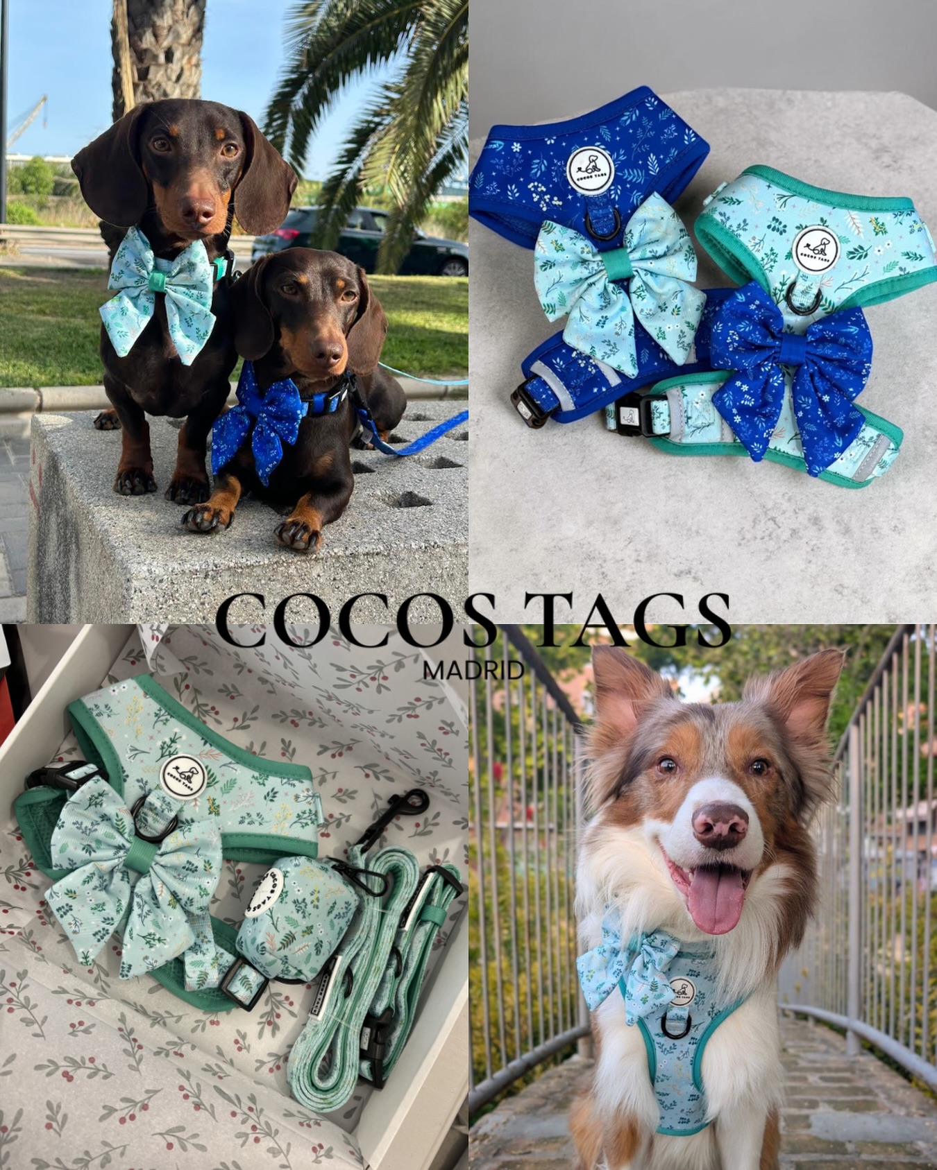 Cocos Tags Pets Facebook ad: Unique Dogwear Accessories