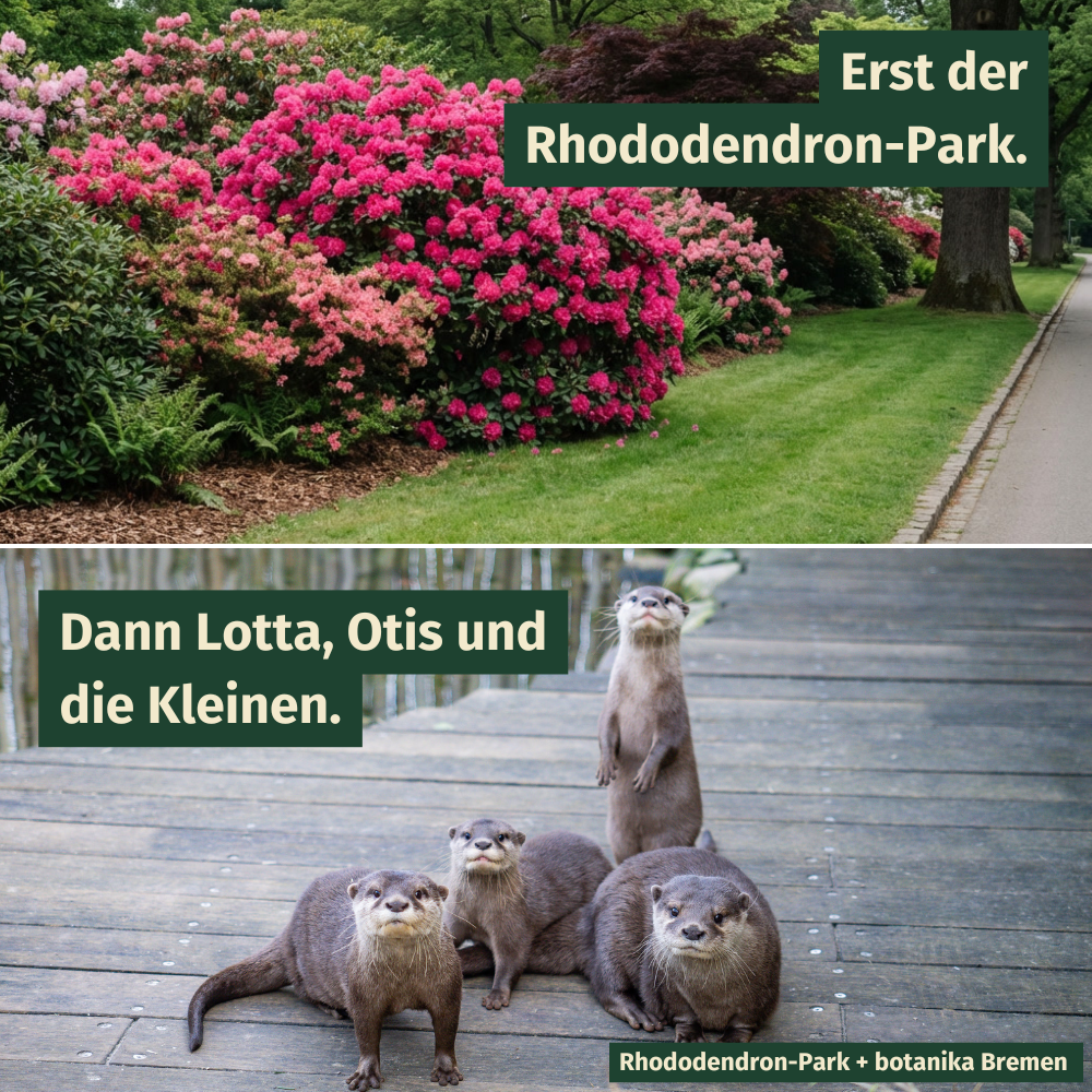 botanika Das Grüne Science Center Facebook ad: botanika erleben