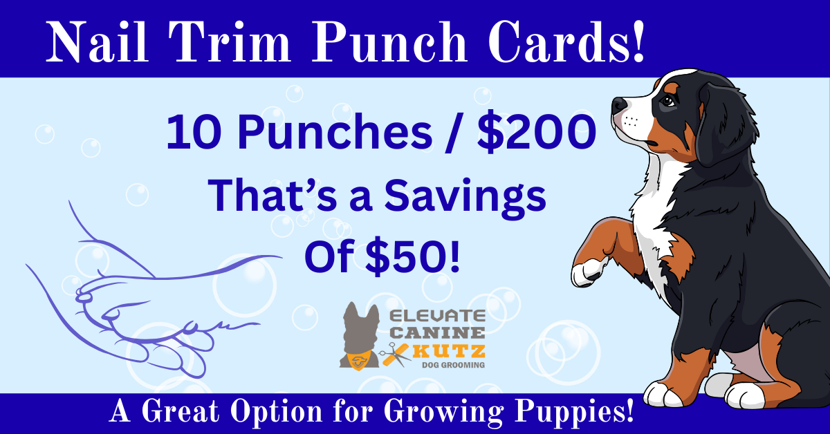 Elevate Canine Kutz Facebook ad from May 27, 2026