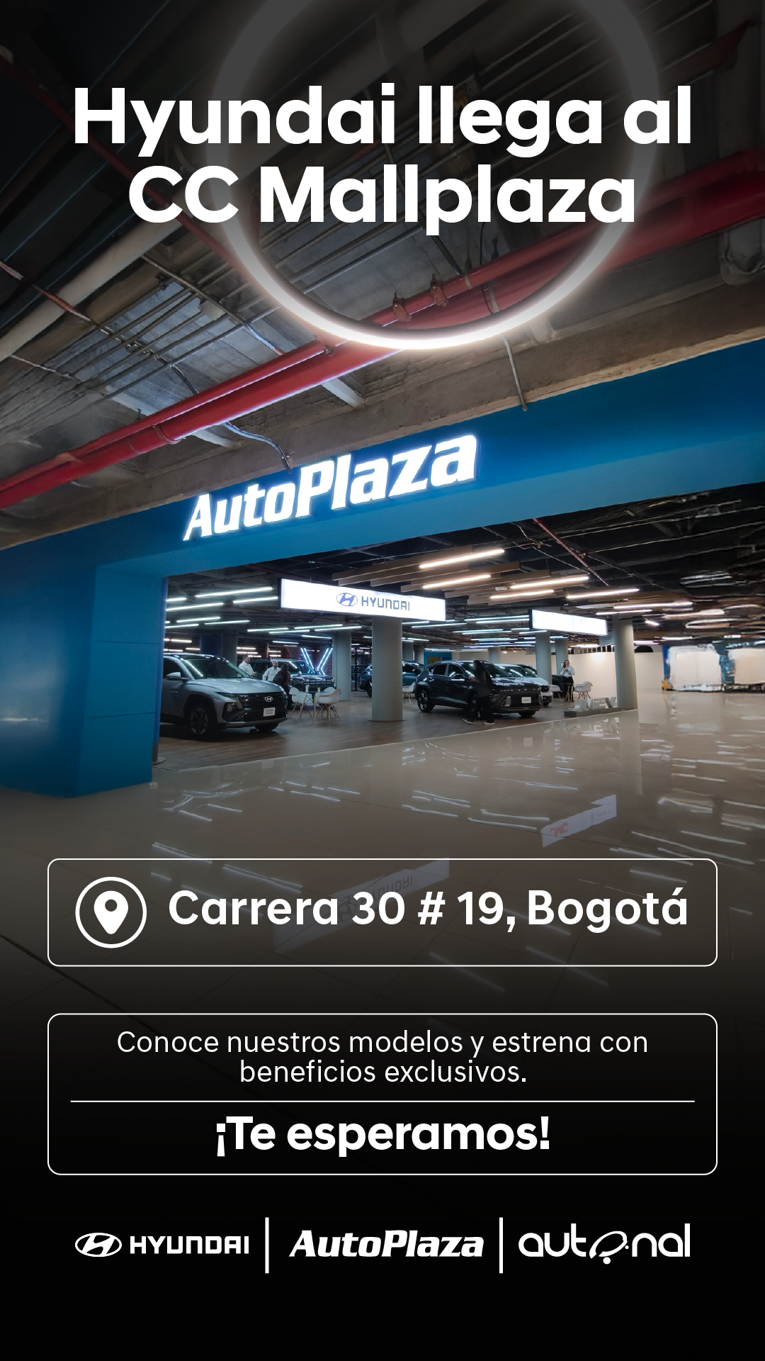 AUTONAL Facebook ad from Feb 18, 2026