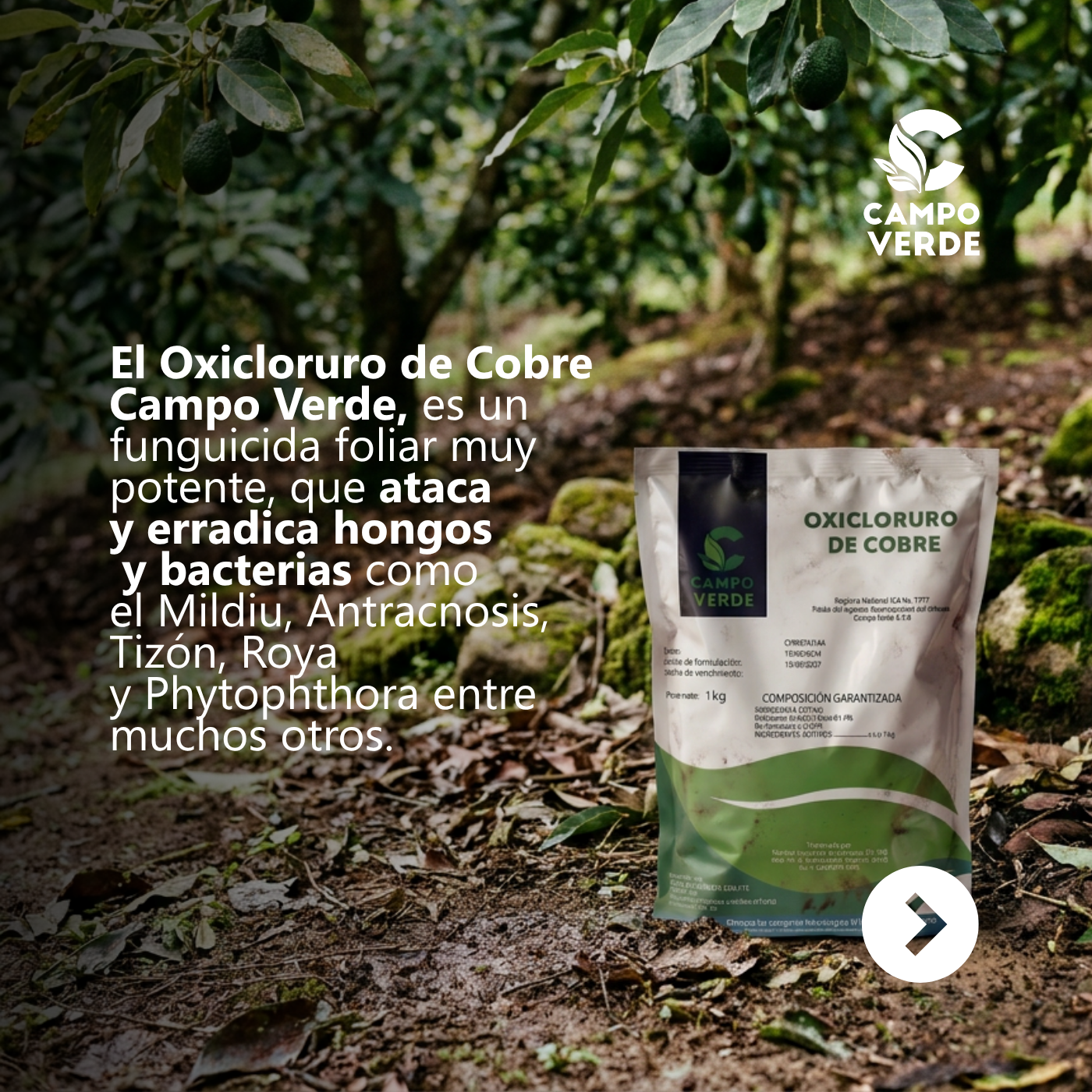 Agroindustrias campo verde  Facebook ad