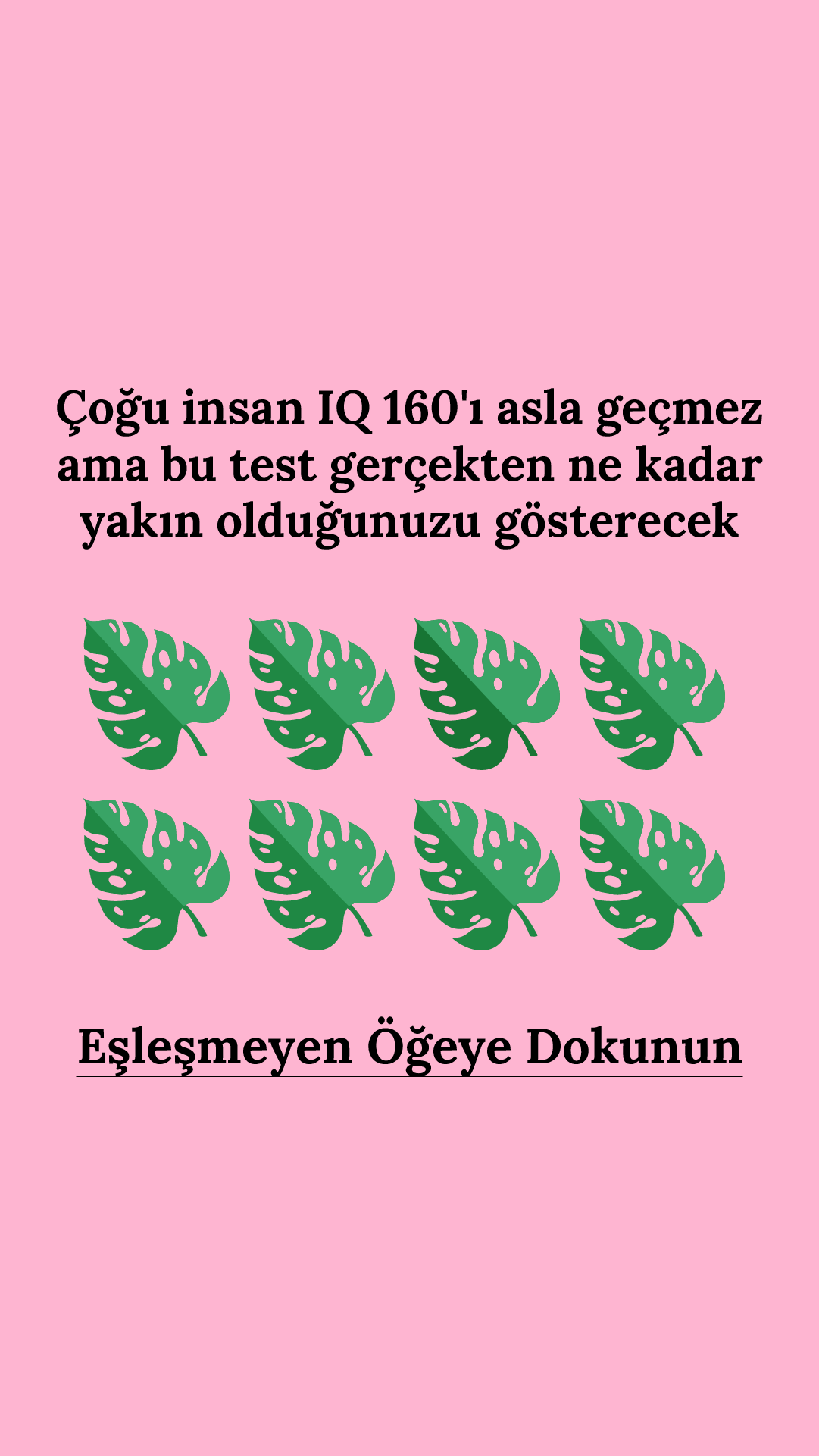 Zeka Testi Facebook ad: 30 soruyu cevapla ve sonucunu öğren