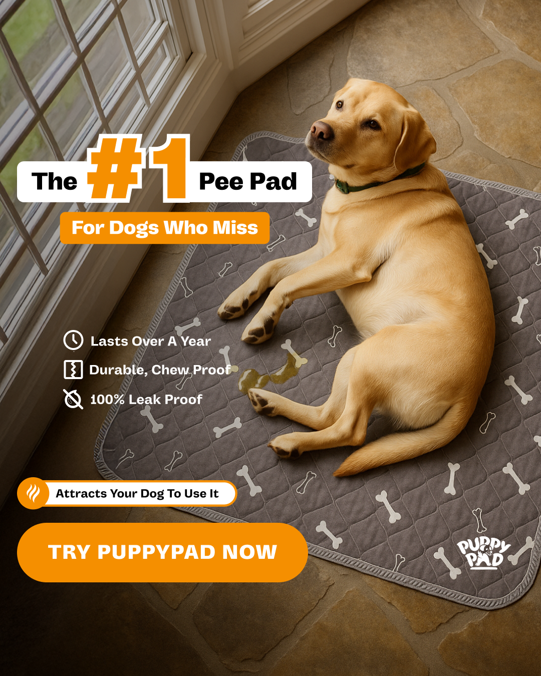 PuppyPad Facebook ad