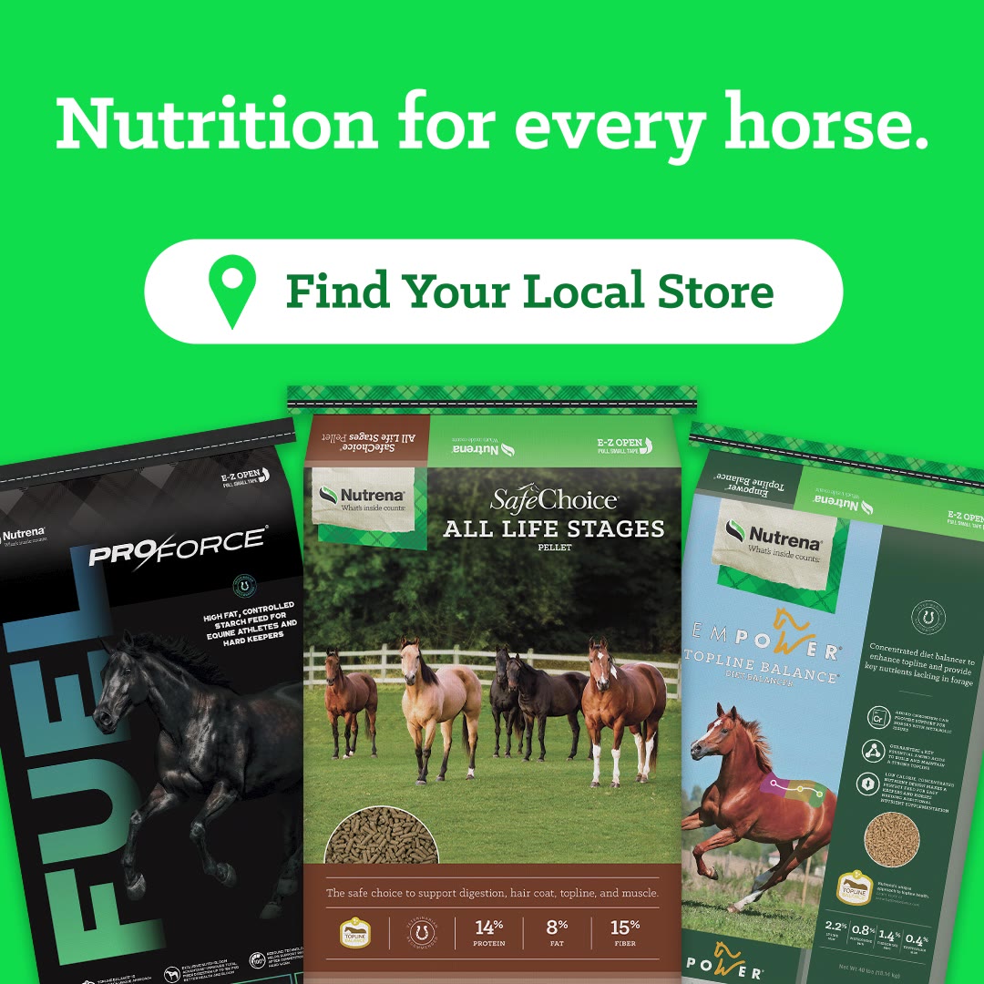 Nutrena Feed Facebook ad: Find the Feed Your Horse Needs