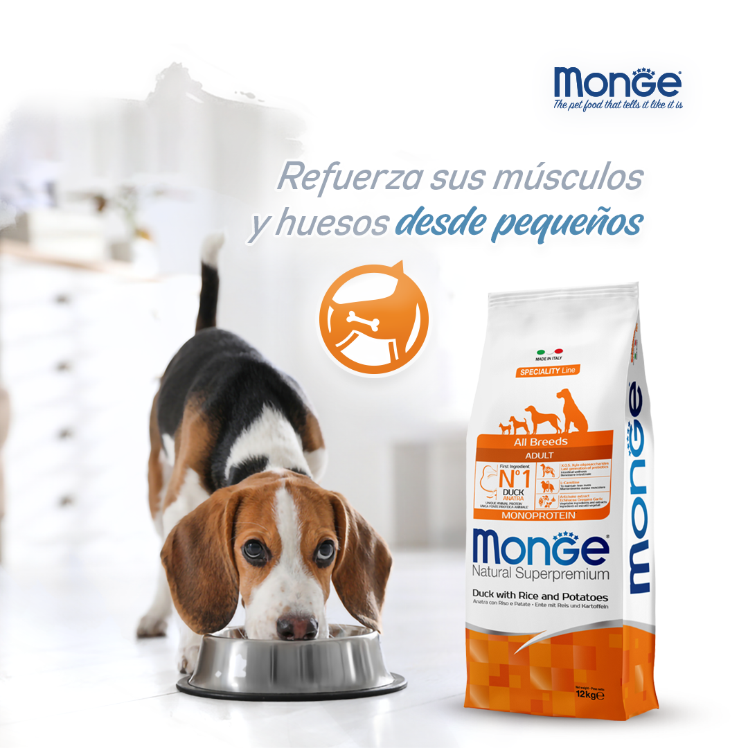 Alimentos rey conan Facebook ad from Apr 20, 2026