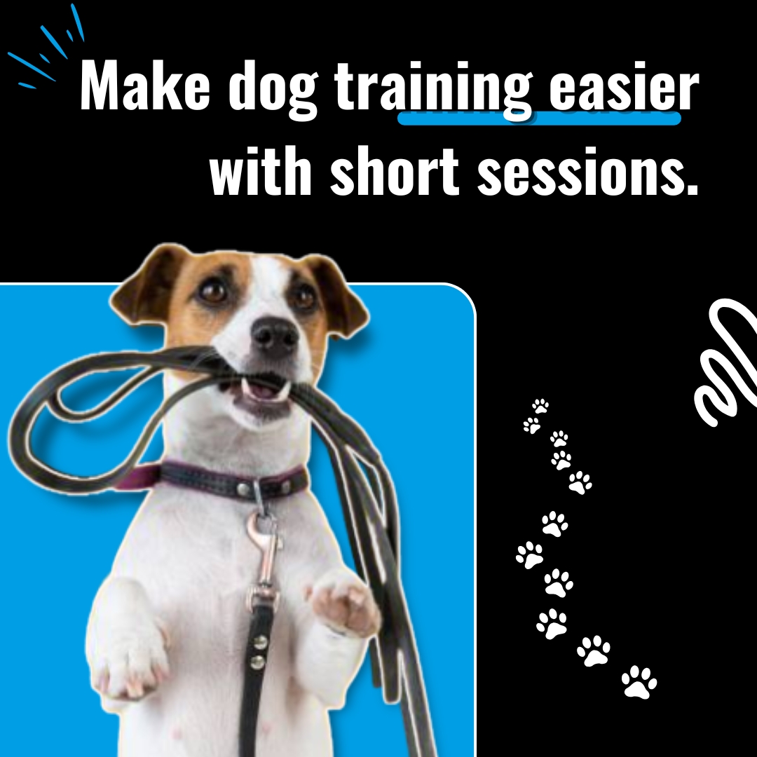 Barer Pet Behavior Consulting & Dog Training Facebook ad