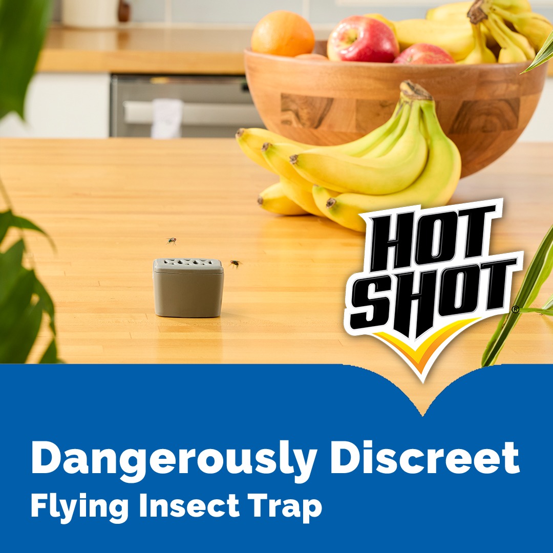 Hot Shot Insecticides Facebook ad