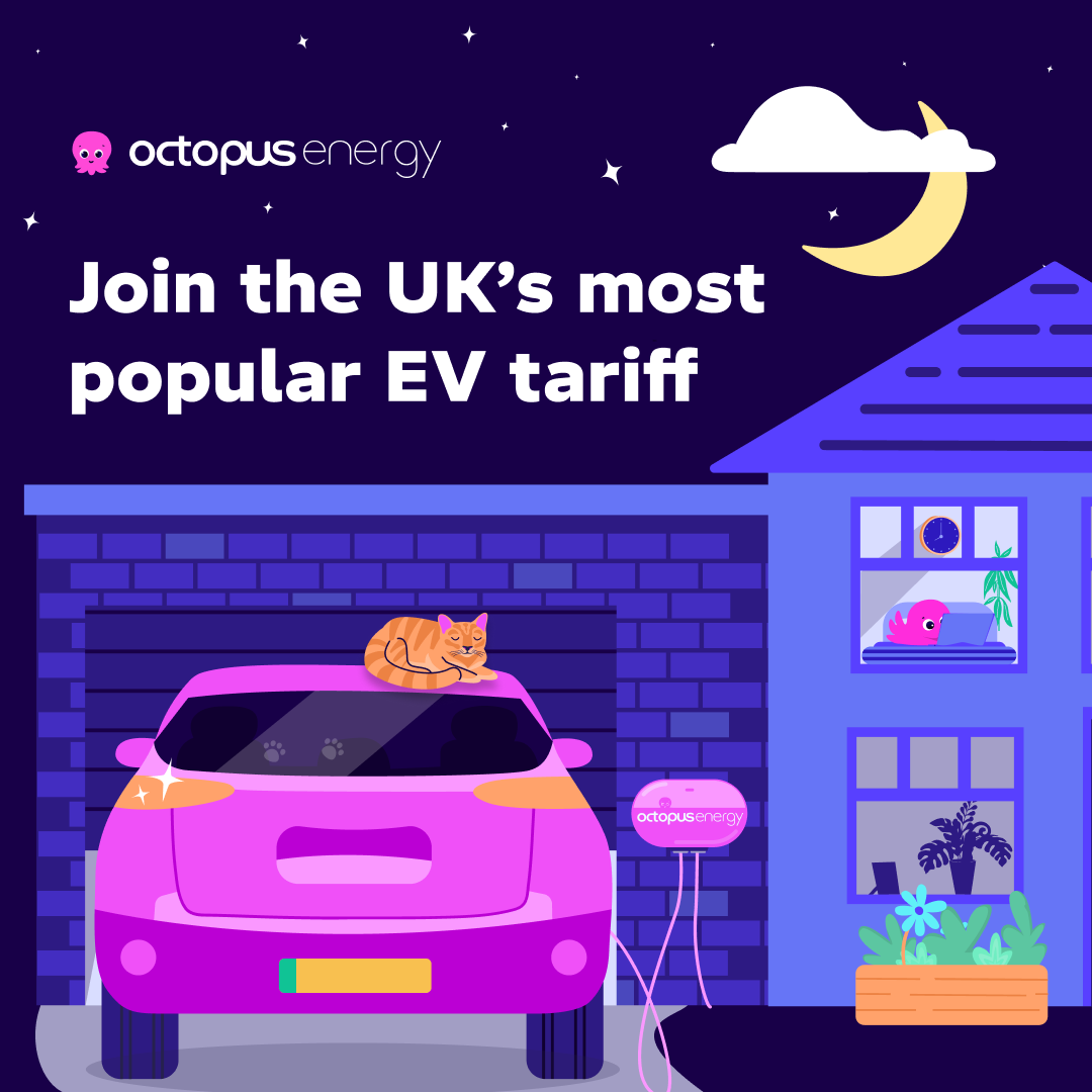 Octopus Energy Facebook ad