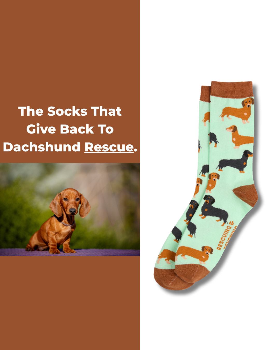 Sydney Sock Project Facebook ad