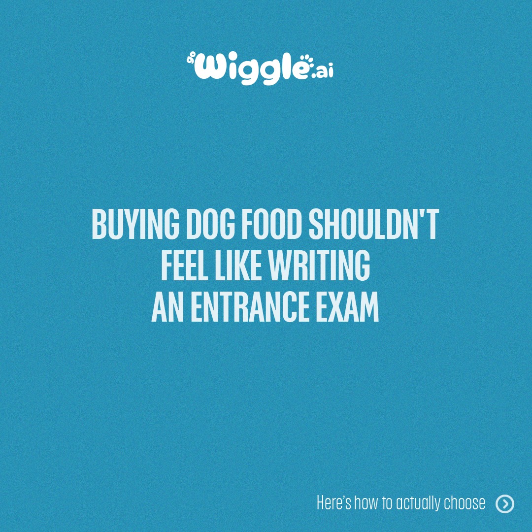 Gowiggle.AI Facebook ad