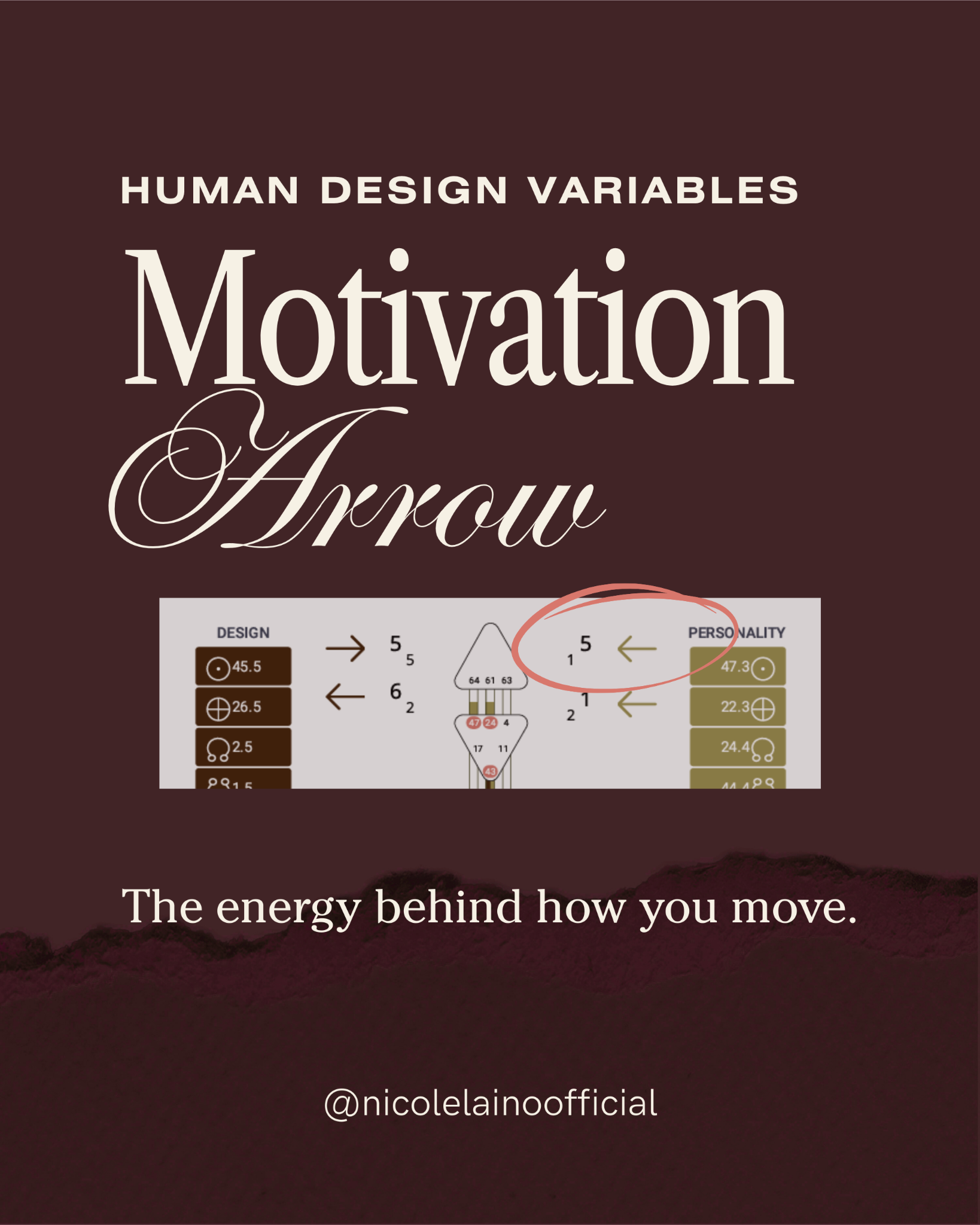 Nicole Laino Facebook ad: A lot of people talk about motivation as…