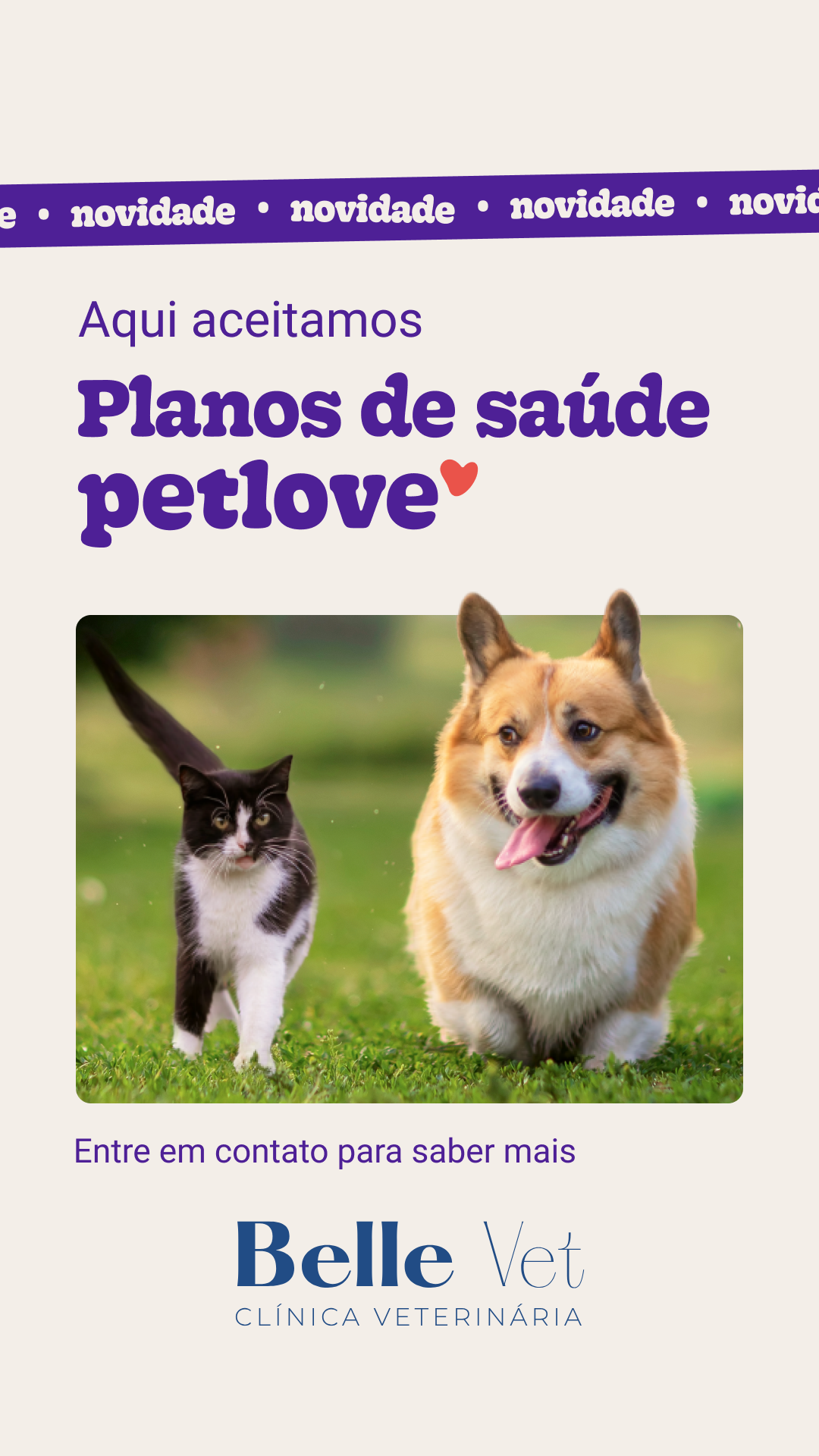 Clínica Veterinária & Petshop Belle Vet Facebook ad: Converse conosco