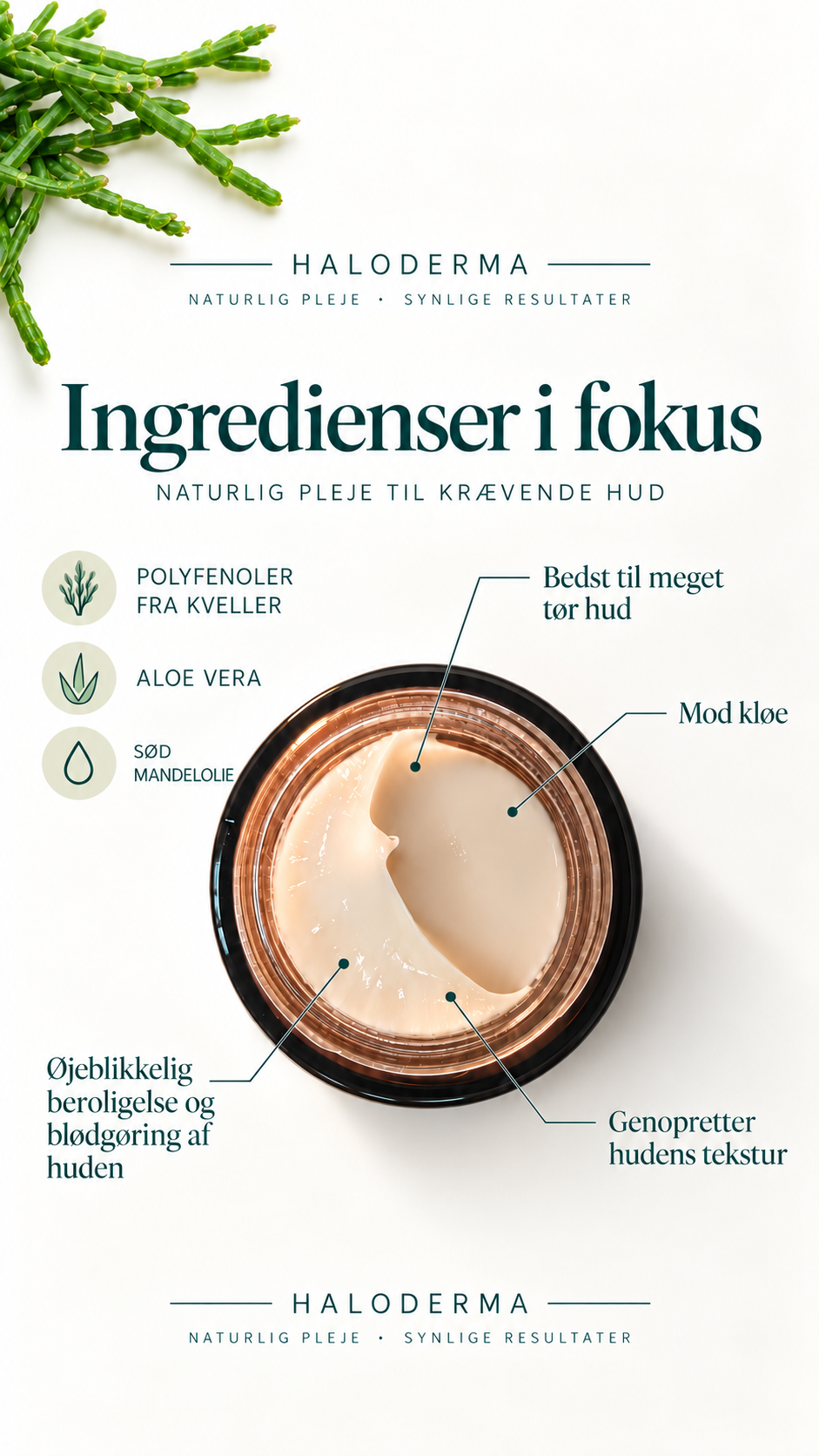 Haloderma Facebook ad: Ingredienser i fokus