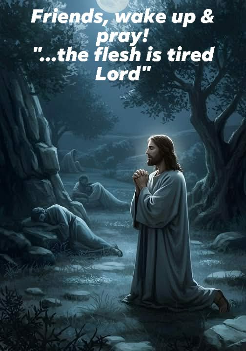 Tawanda Denhere Gonese Facebook ad: Let's avoid the same betrayal fellow Christians.