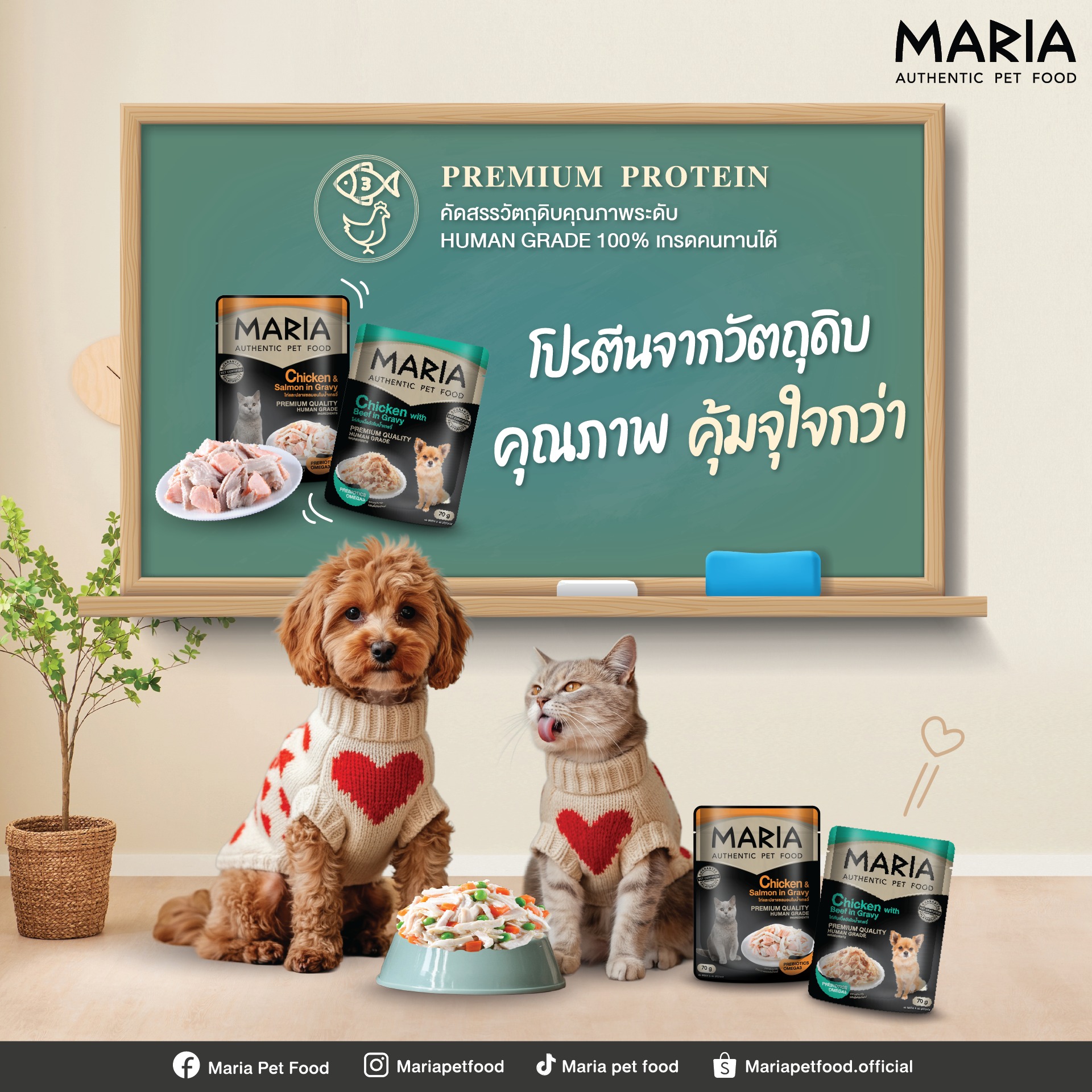 Maria Pet Food อาหารเปียกสุนัขและแมว คิดค้นโดยสัตวแพทย์ Facebook ad